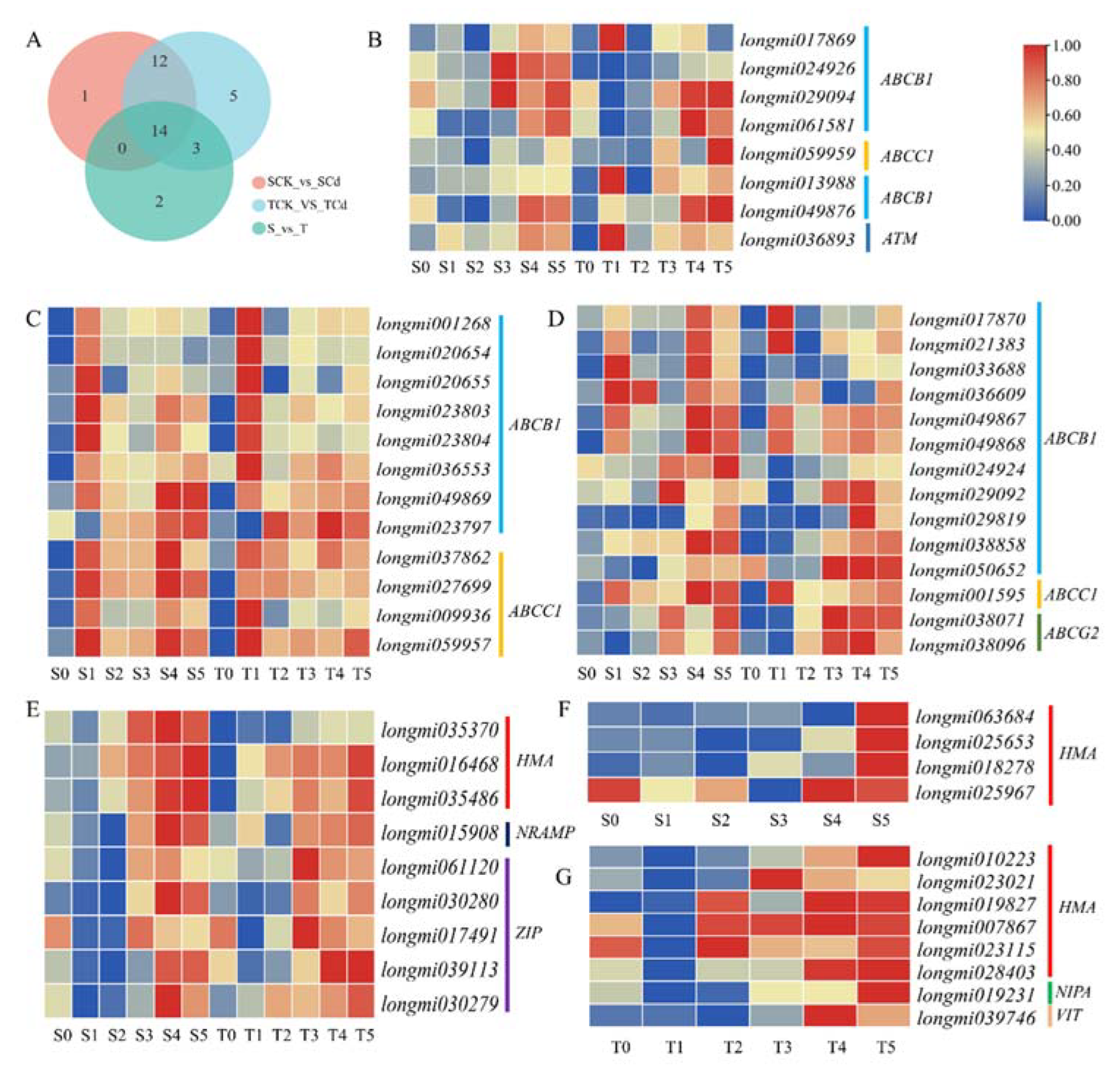 Ijms 23 06148 g008 550