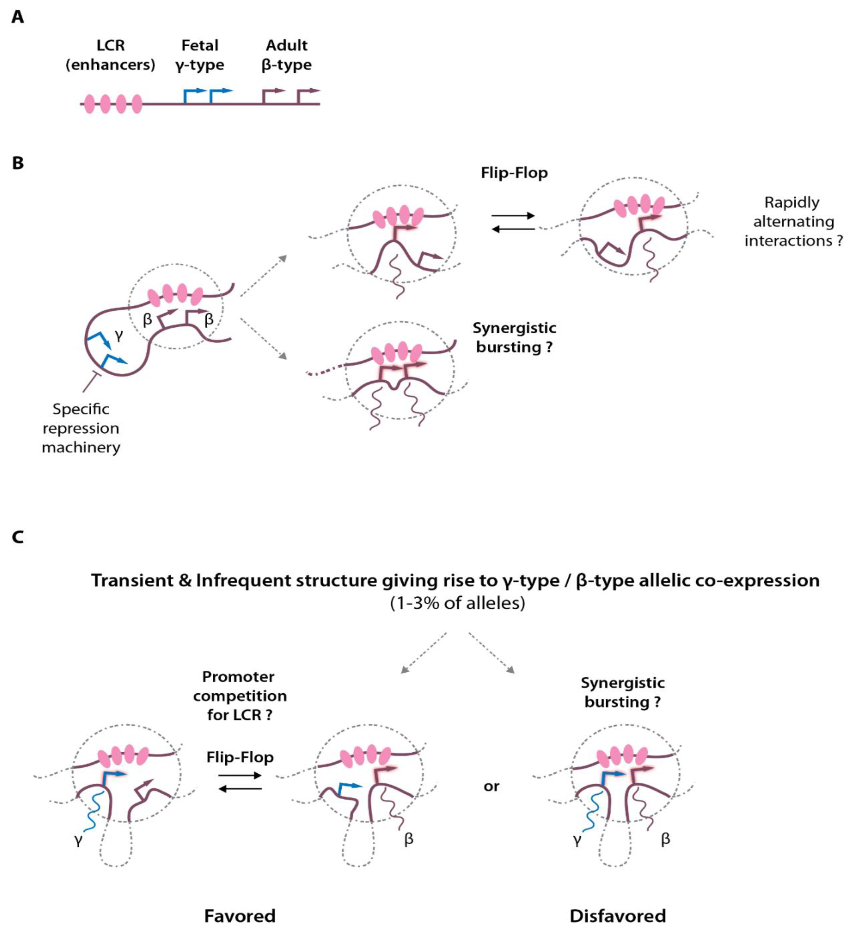 Ijms 23 06149 g001 Ijms 23 06149 g001