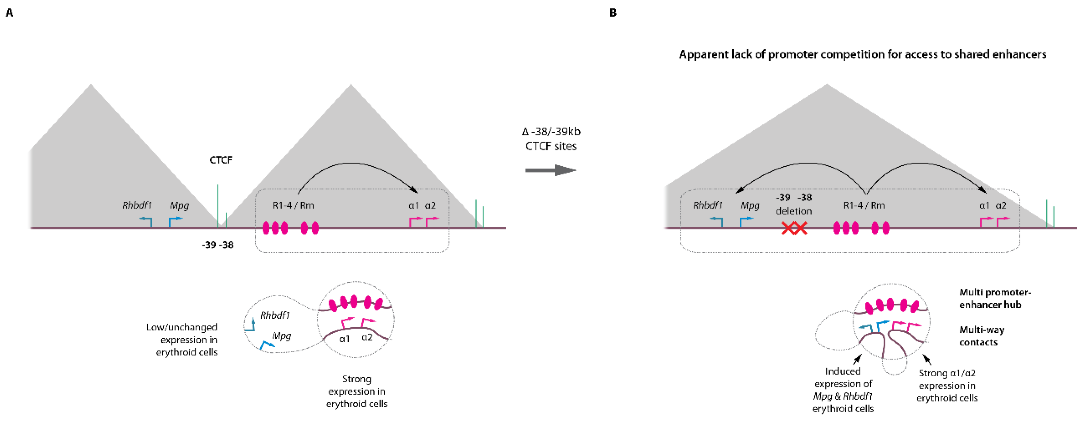 Ijms 23 06149 g002 Ijms 23 06149 g002
