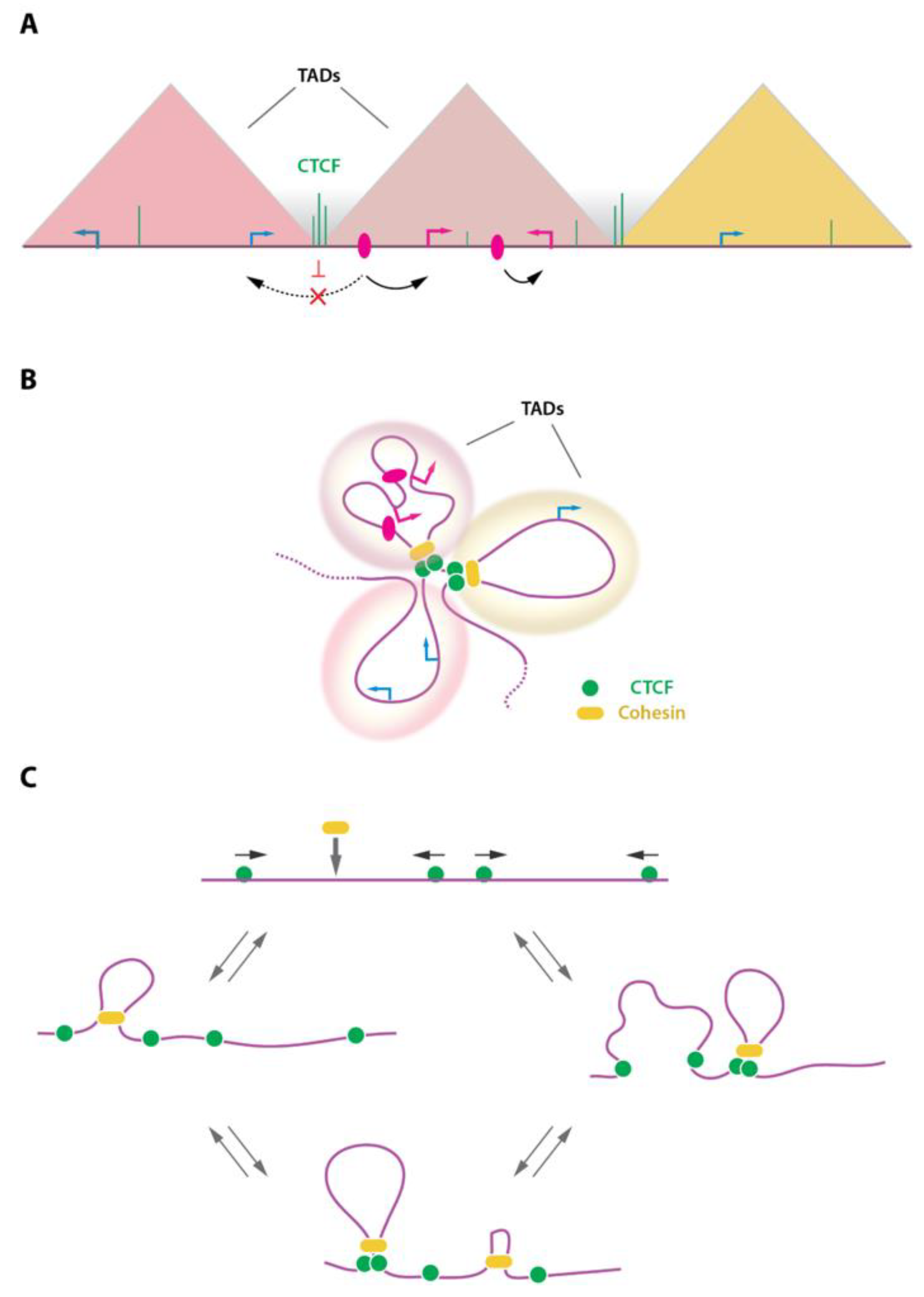 Ijms 23 06149 g003 Ijms 23 06149 g003