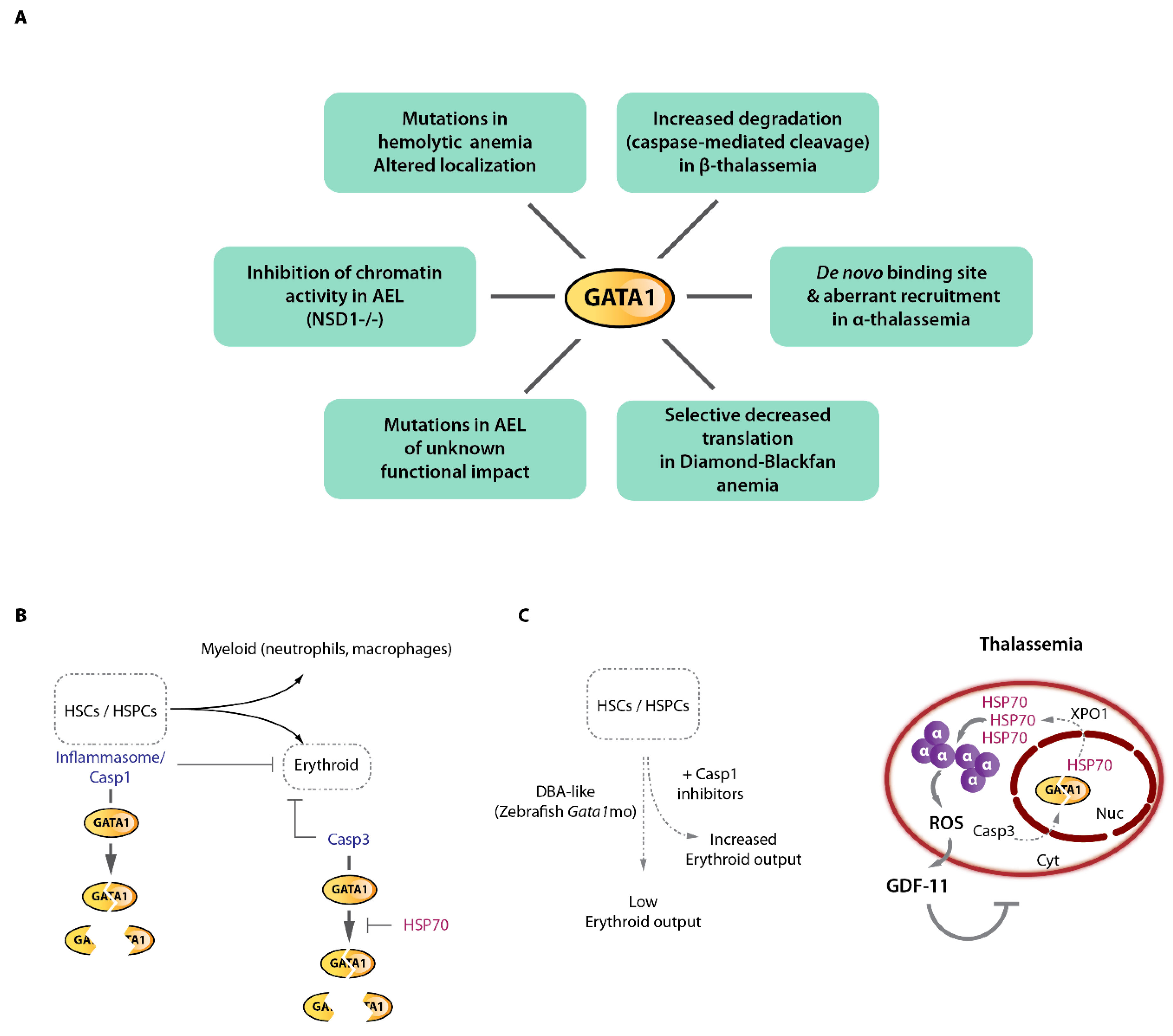 Ijms 23 06149 g006 Ijms 23 06149 g006