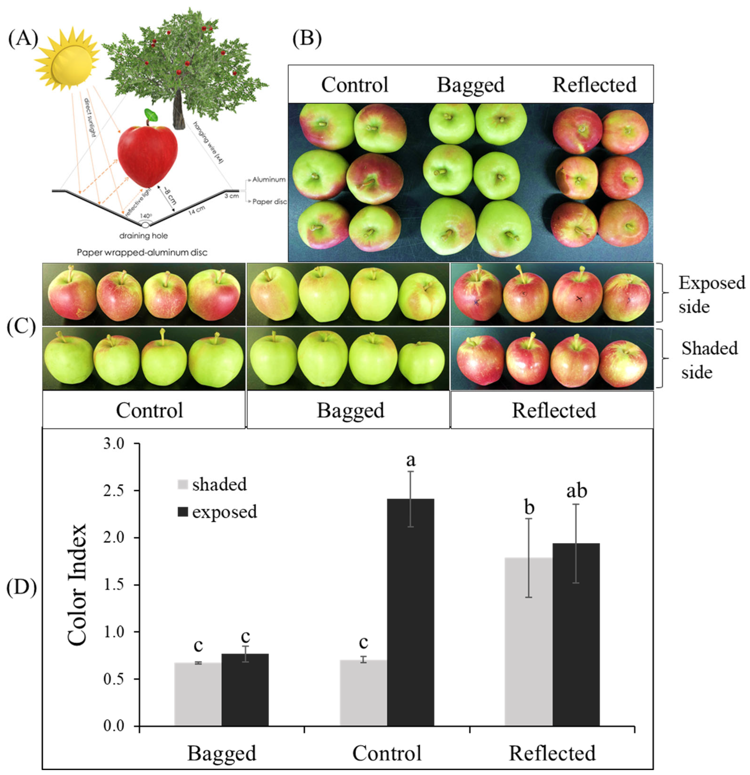 Ijms 23 06153 g001 550