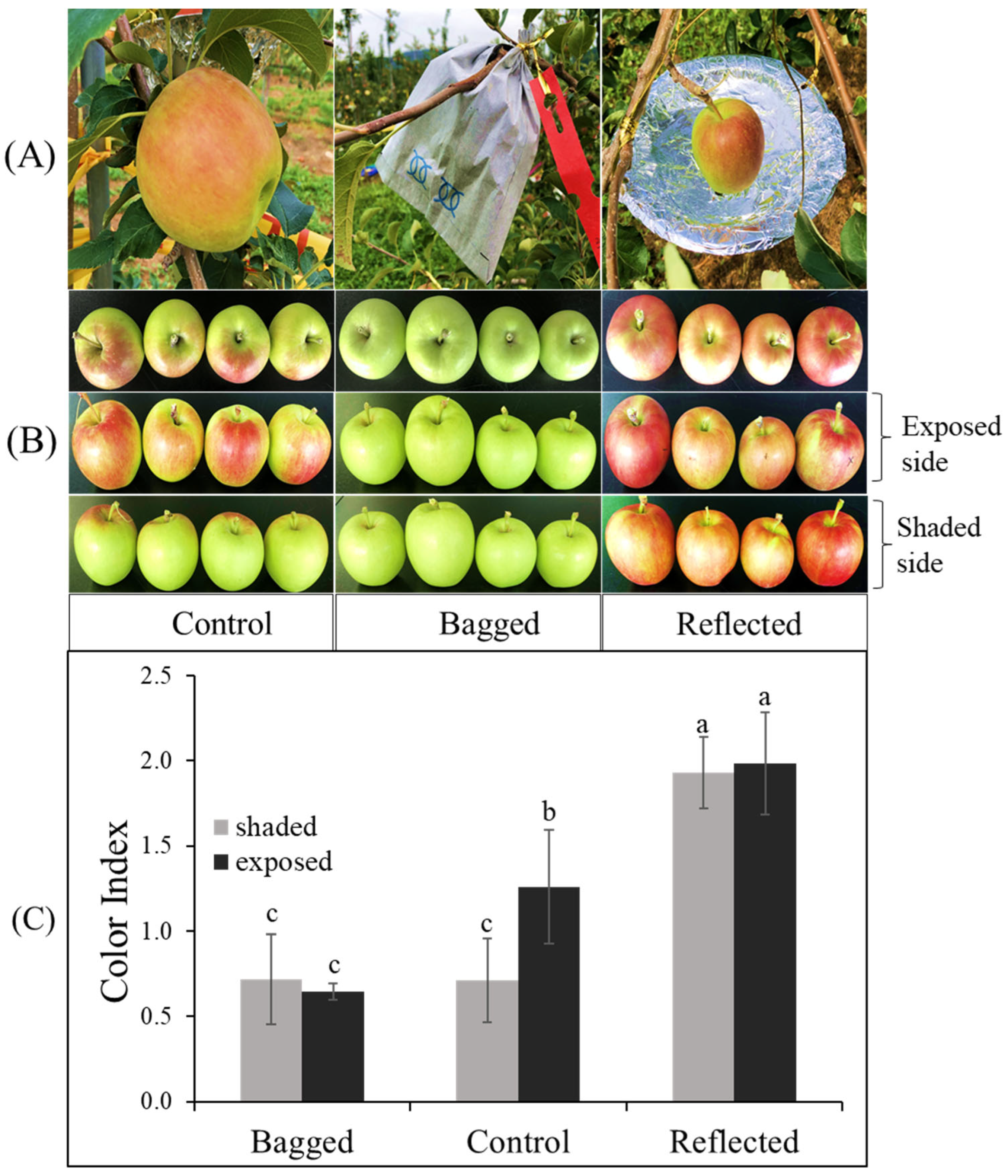 Ijms 23 06153 g002 550