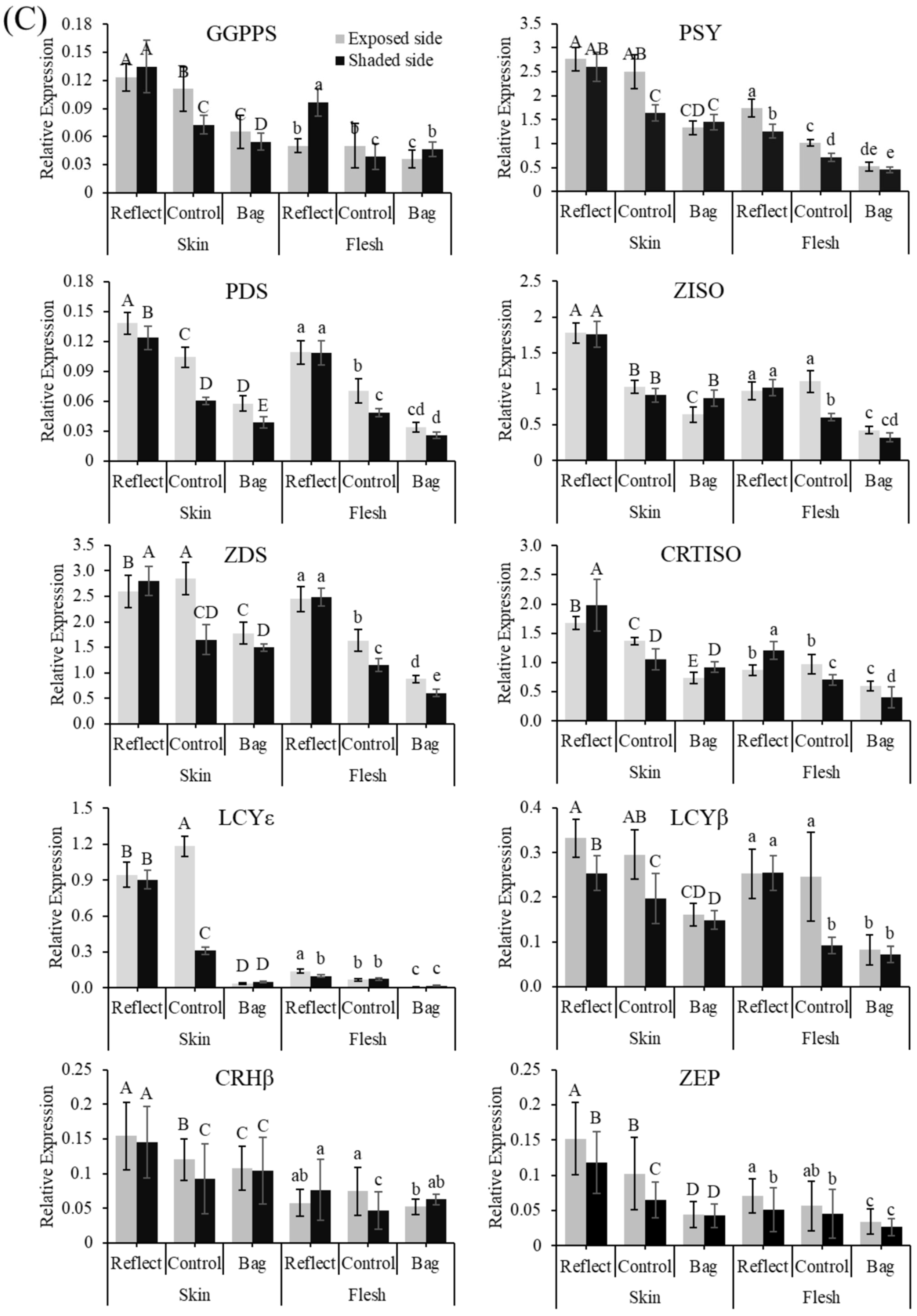 Ijms 23 06153 g003c 550