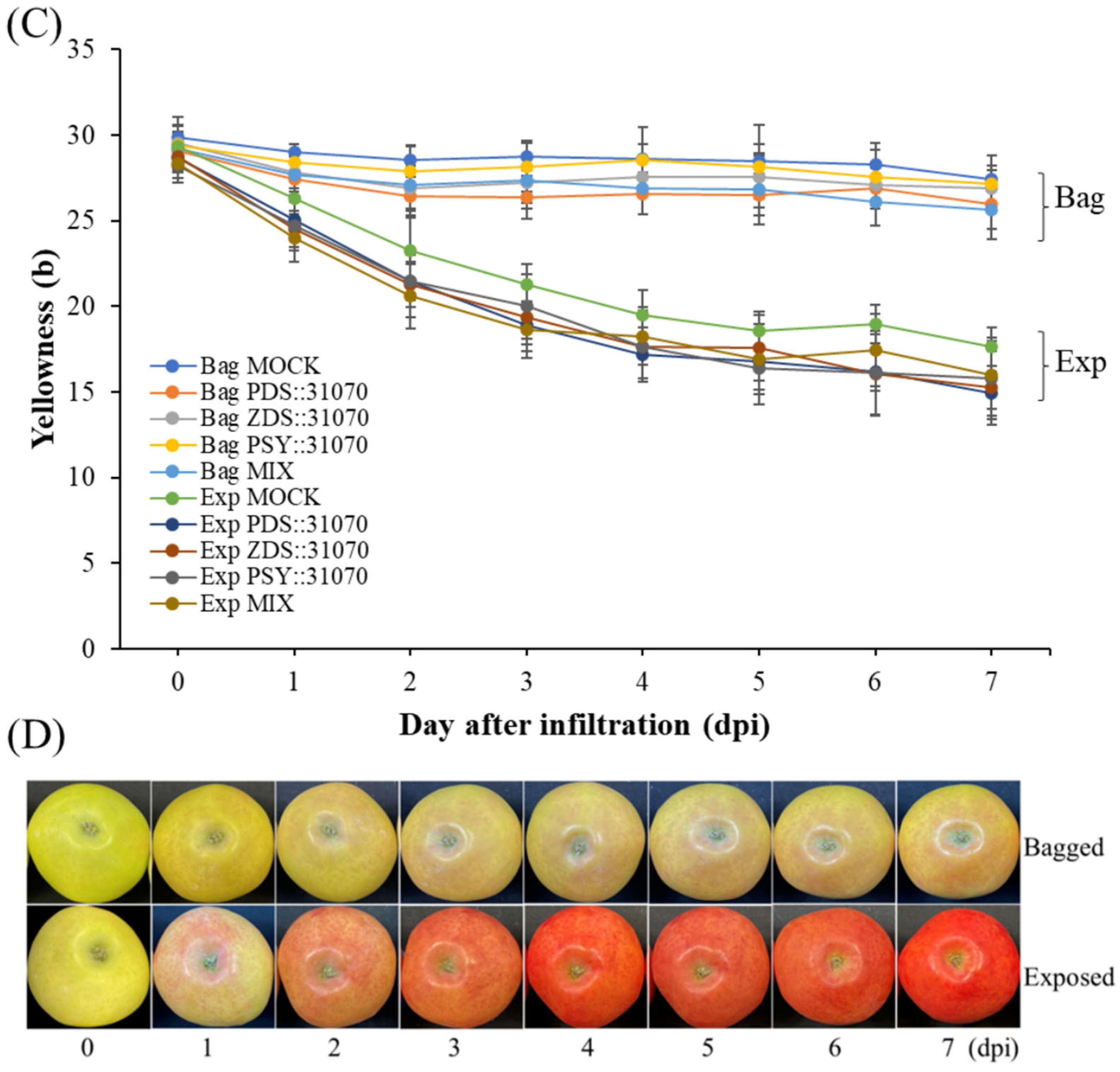 Ijms 23 06153 g006b 550