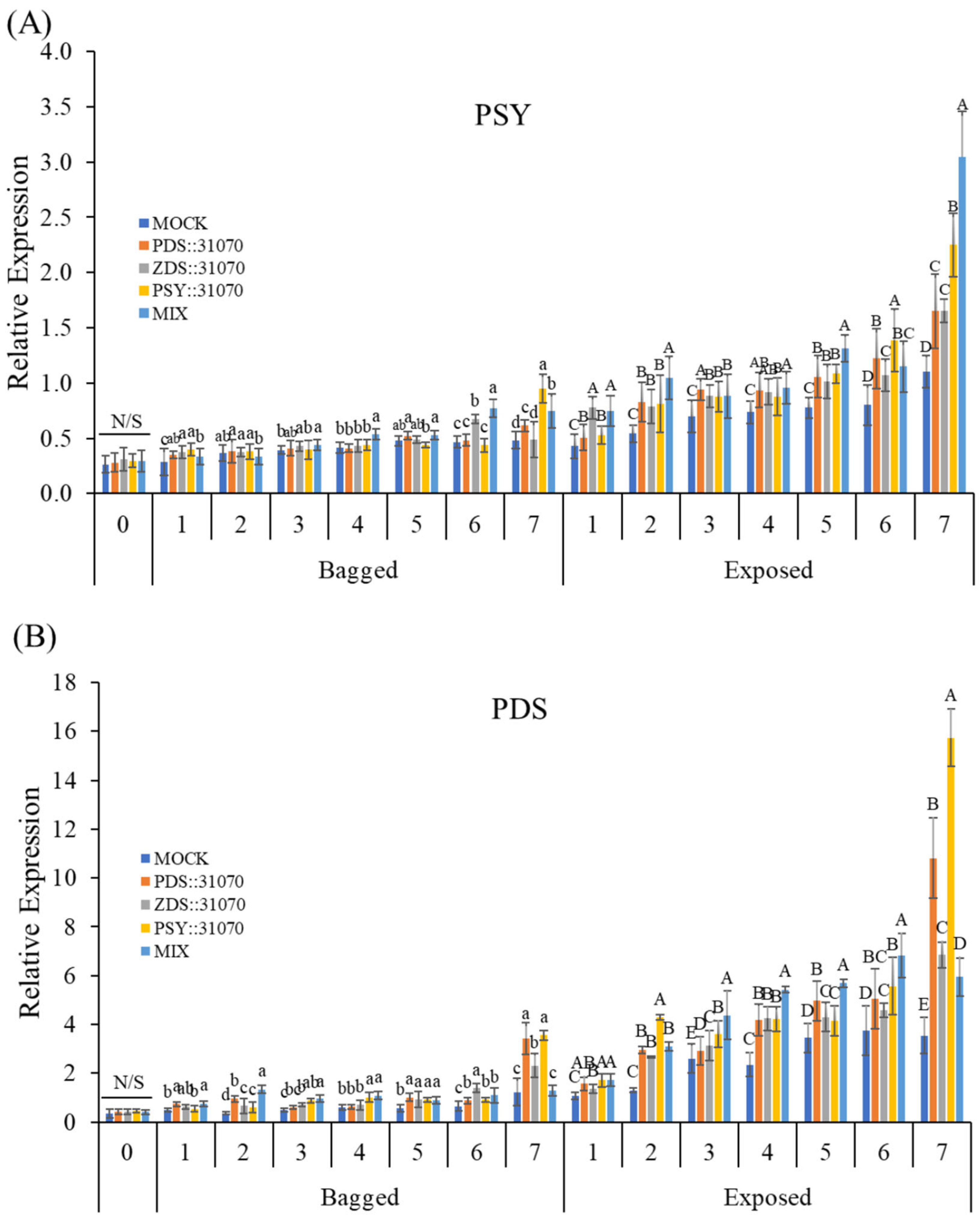 Ijms 23 06153 g007a 550