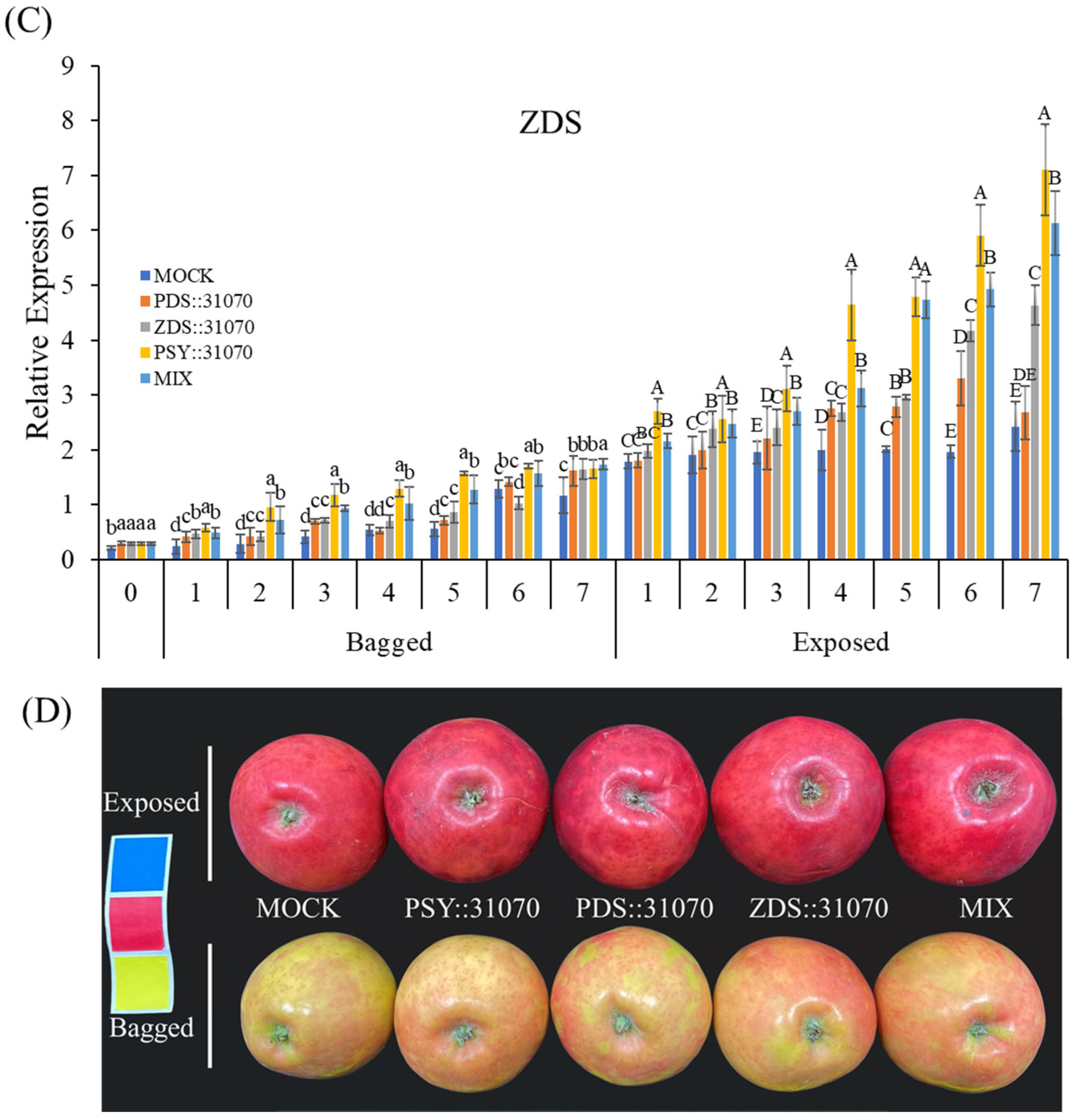 Ijms 23 06153 g007b 550