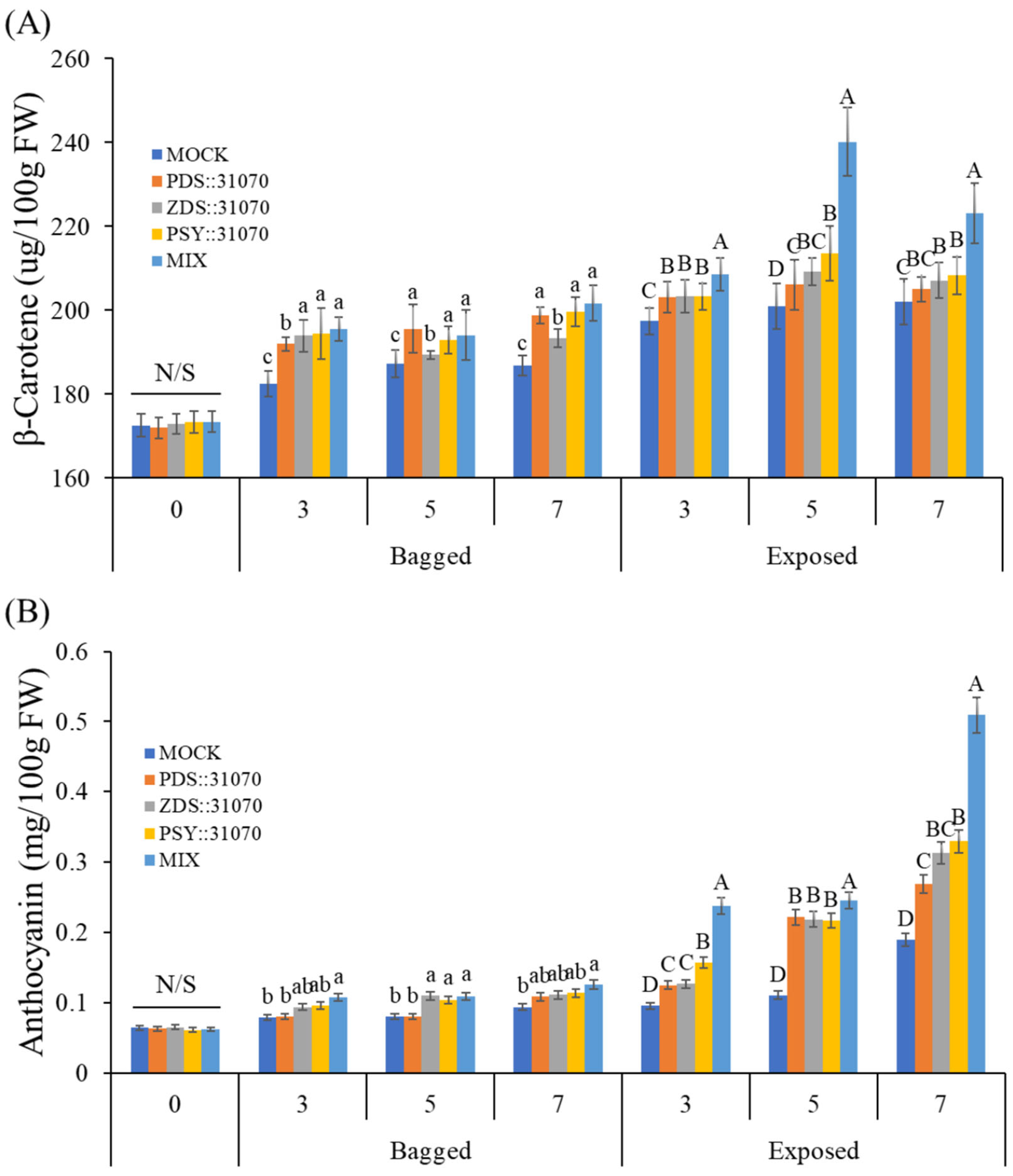 Ijms 23 06153 g008 550