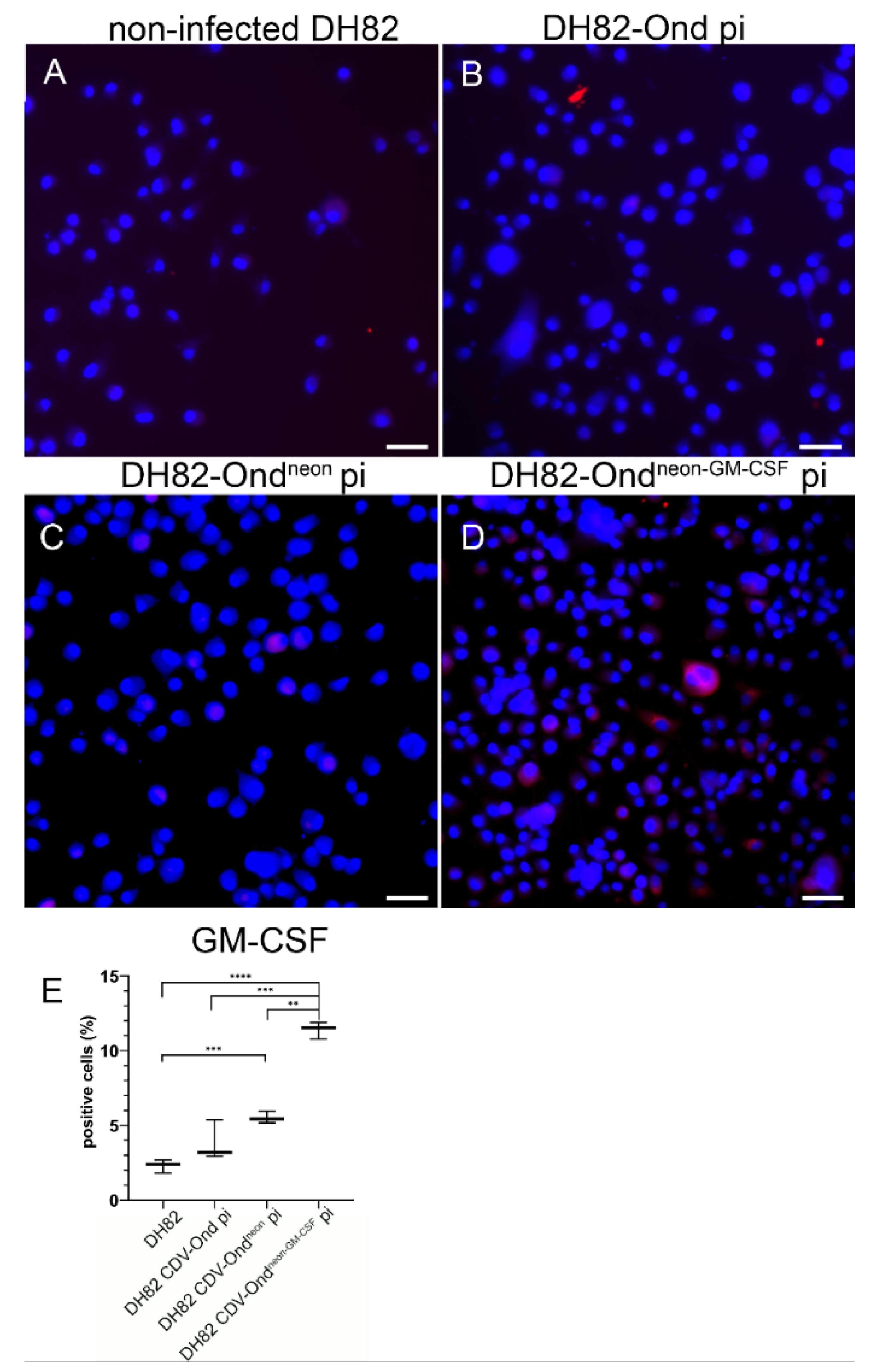 Ijms 23 06156 g005 550
