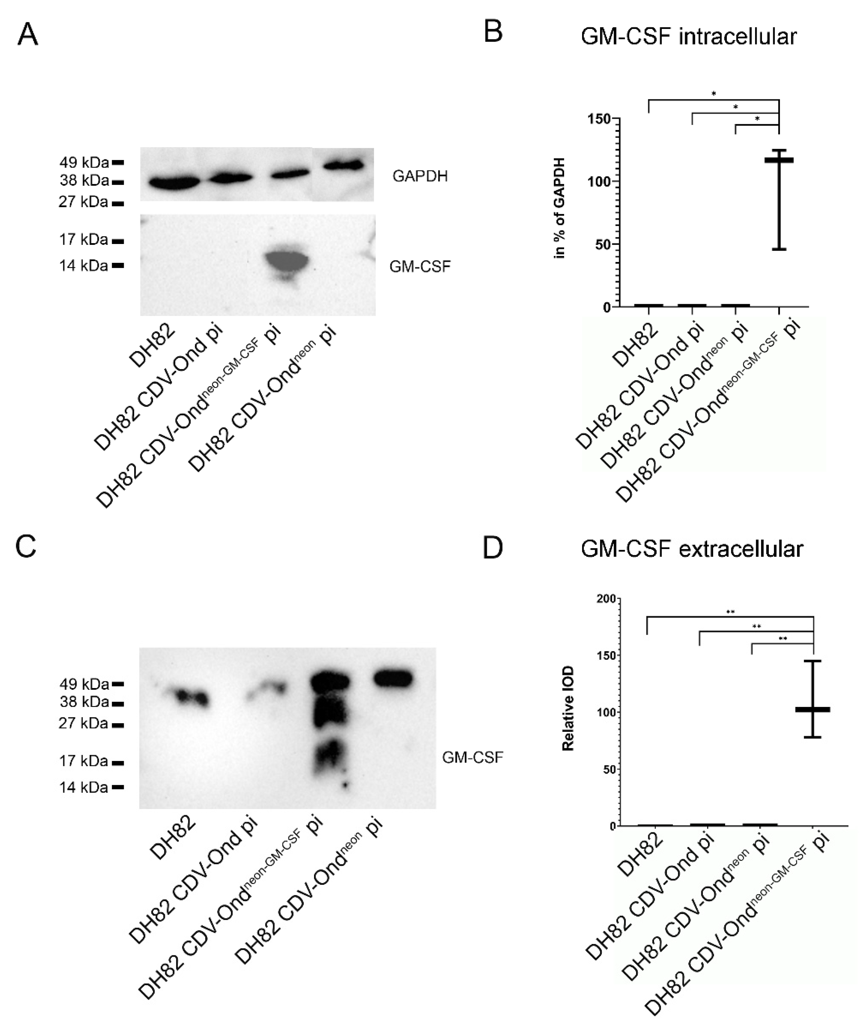 Ijms 23 06156 g006 550