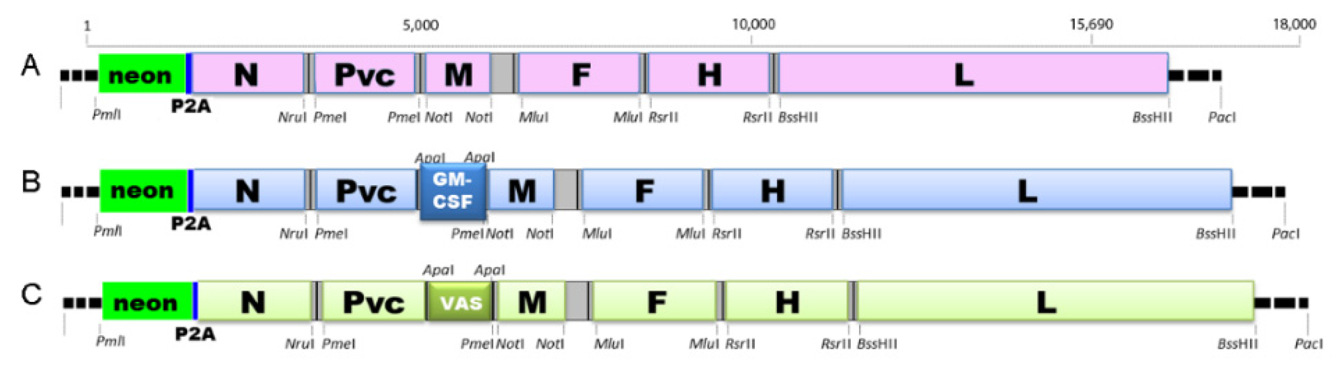 Ijms 23 06156 g009 550