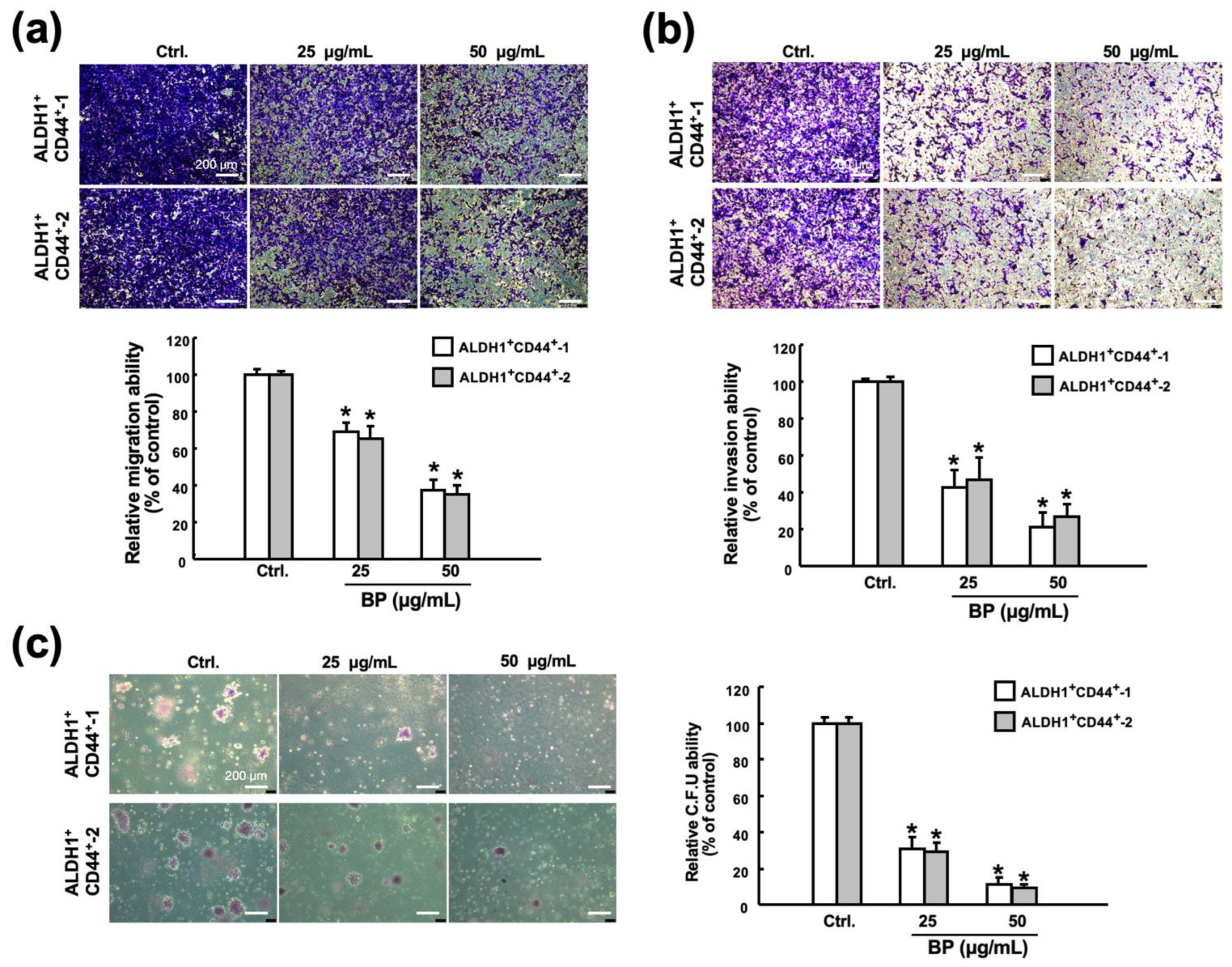 Ijms 23 06157 g003 Ijms 23 06157 g003