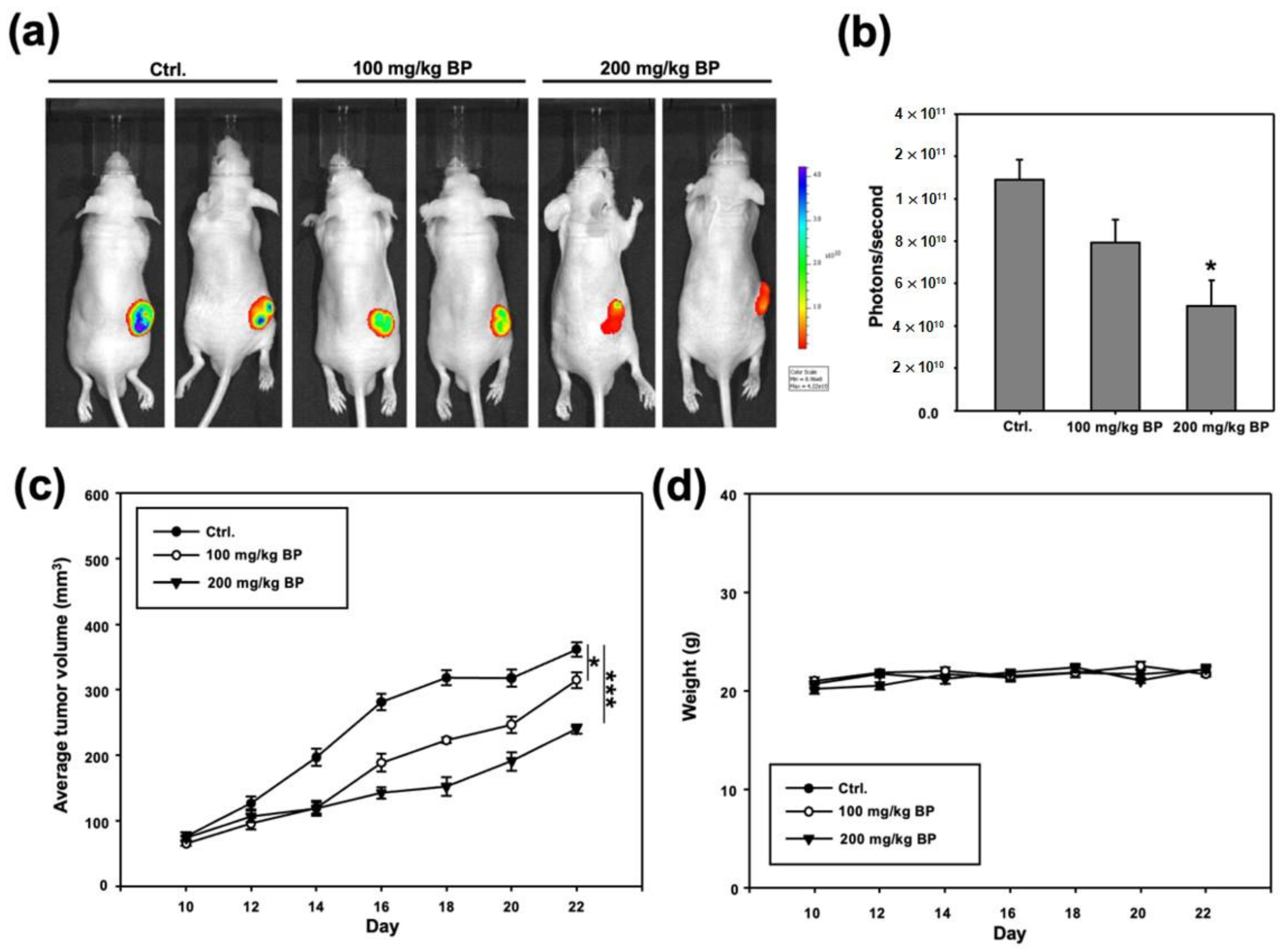 Ijms 23 06157 g004 Ijms 23 06157 g004