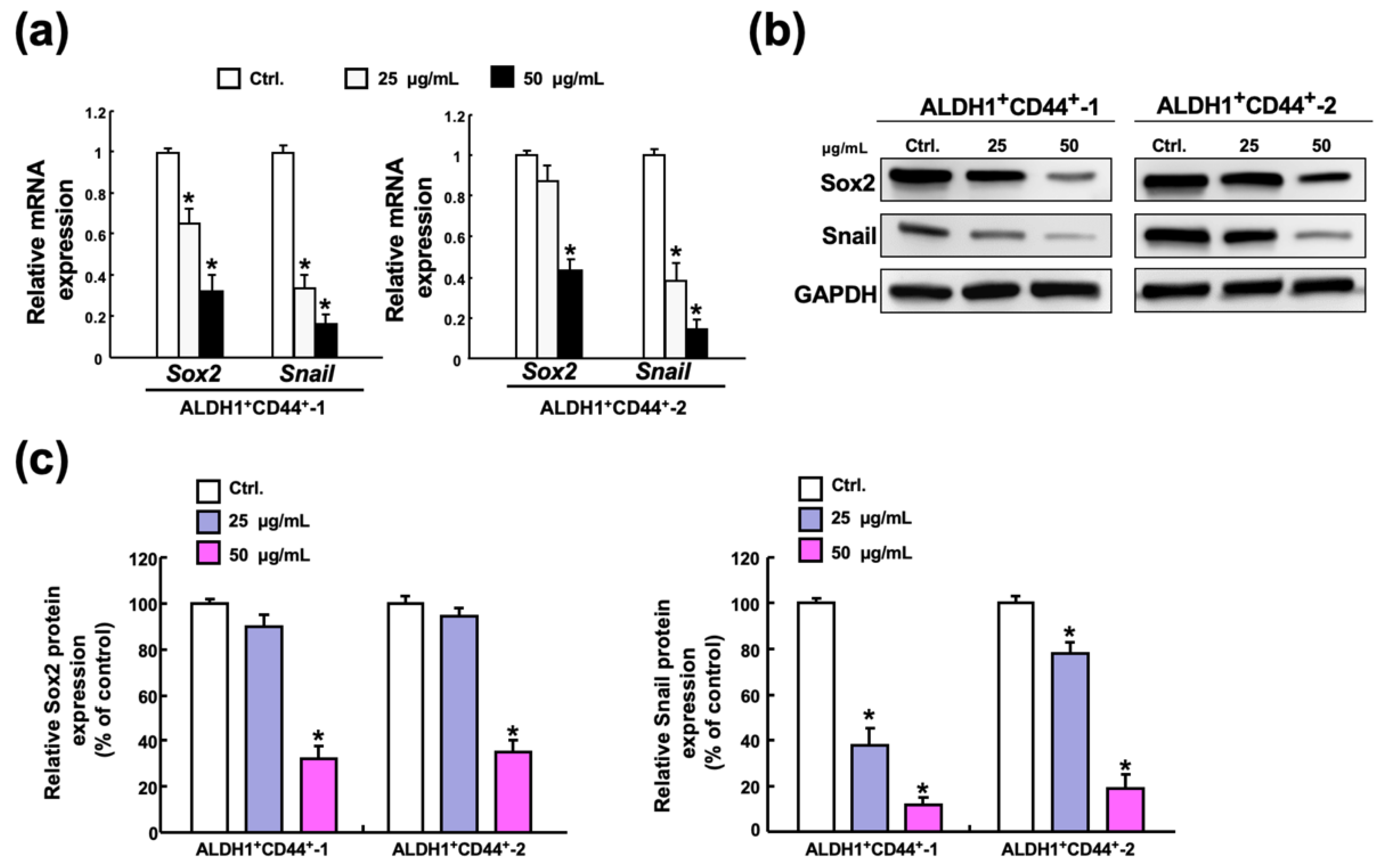 Ijms 23 06157 g005 Ijms 23 06157 g005
