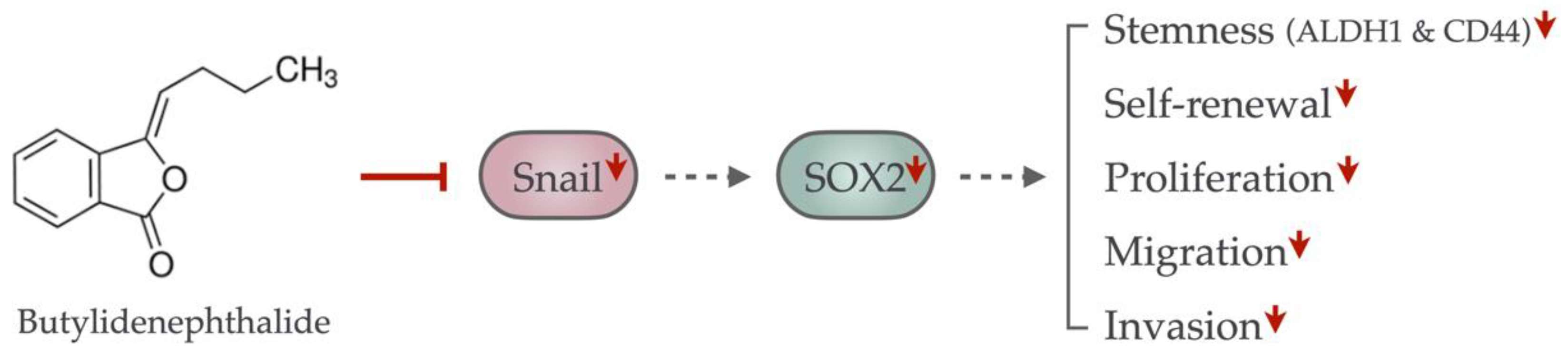 Ijms 23 06157 g007 Ijms 23 06157 g007