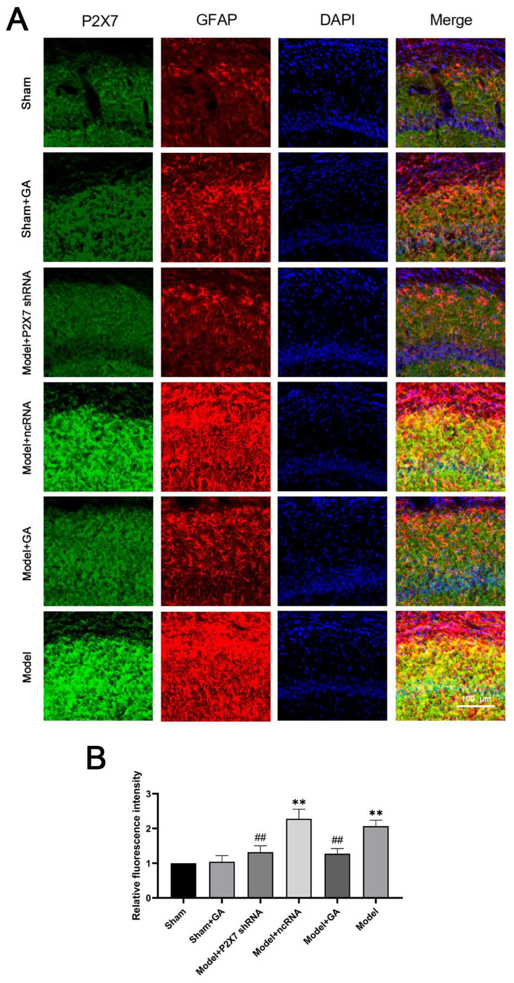 Ijms 23 06159 g007 550