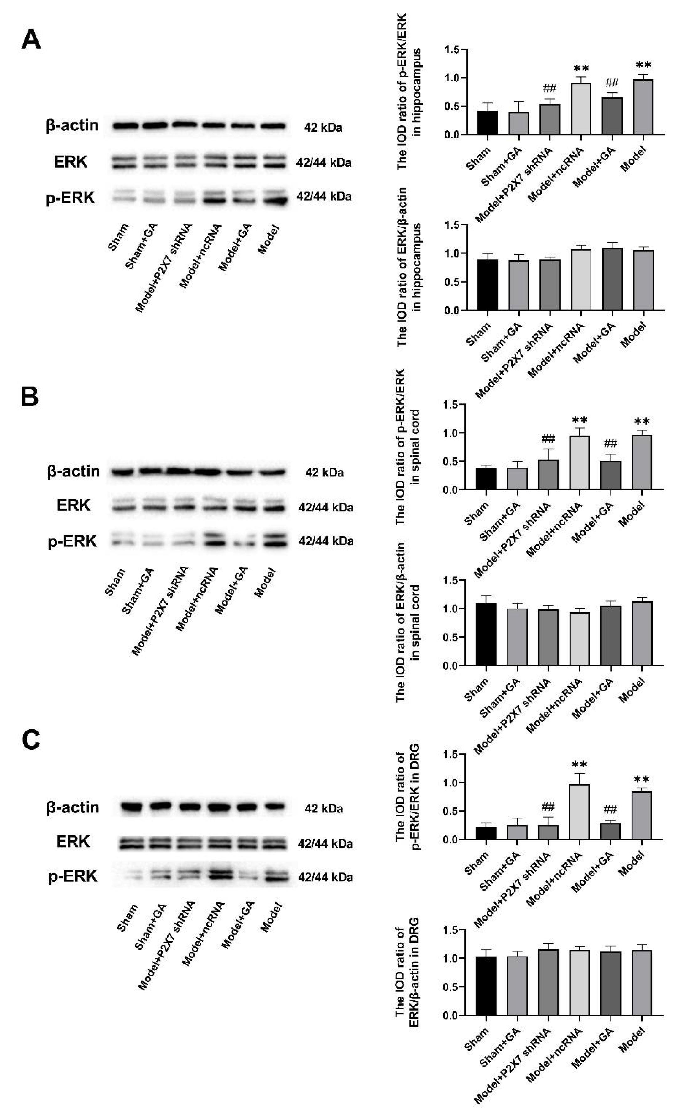Ijms 23 06159 g008 550