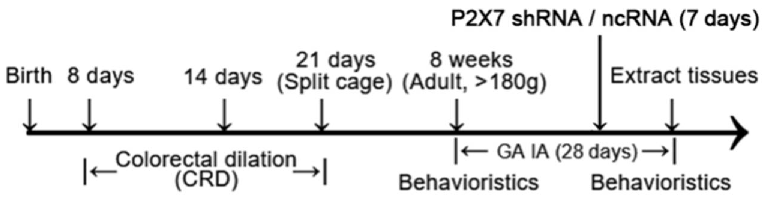 Ijms 23 06159 g011 550