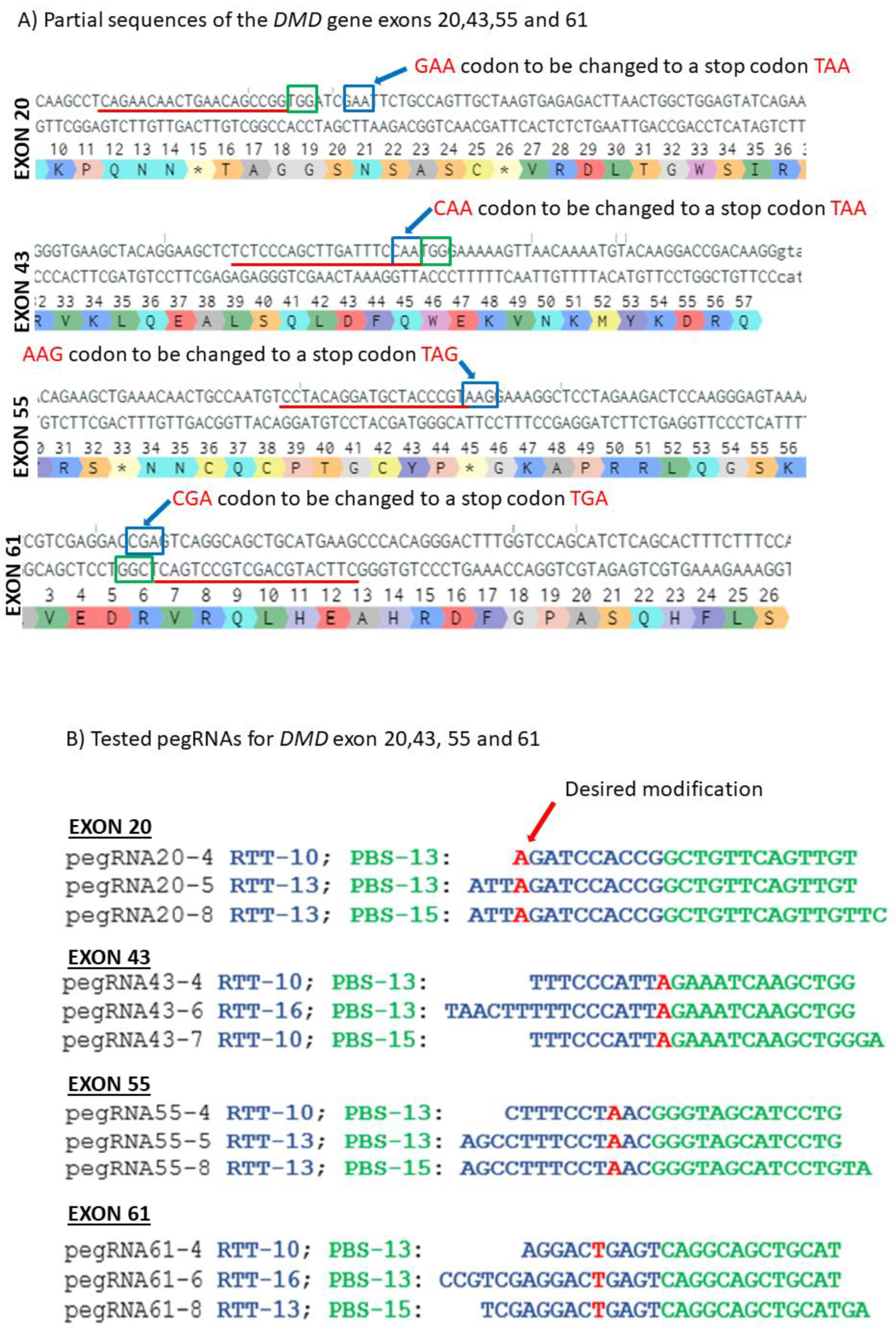 Ijms 23 06160 g003a 550