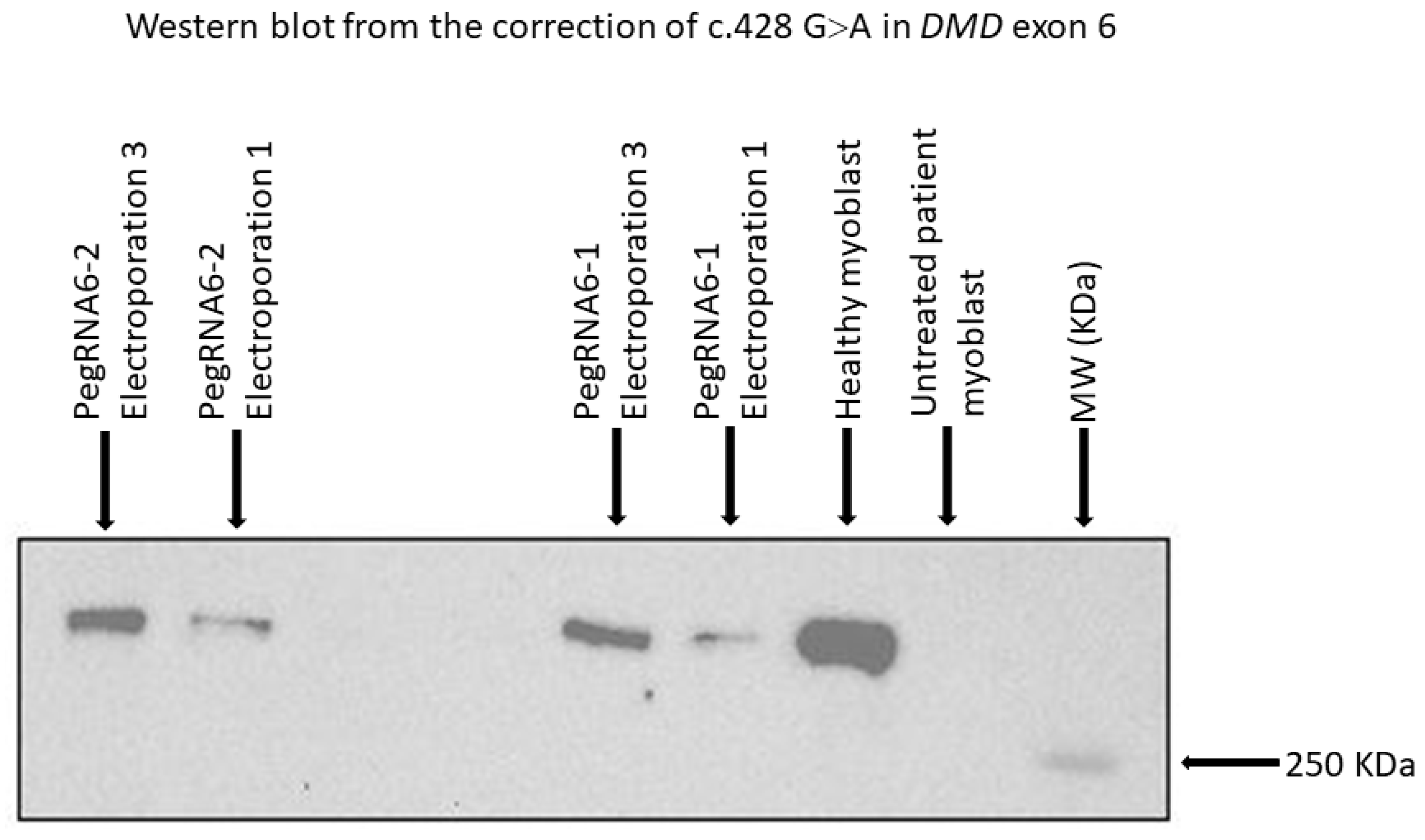 Ijms 23 06160 g010 550