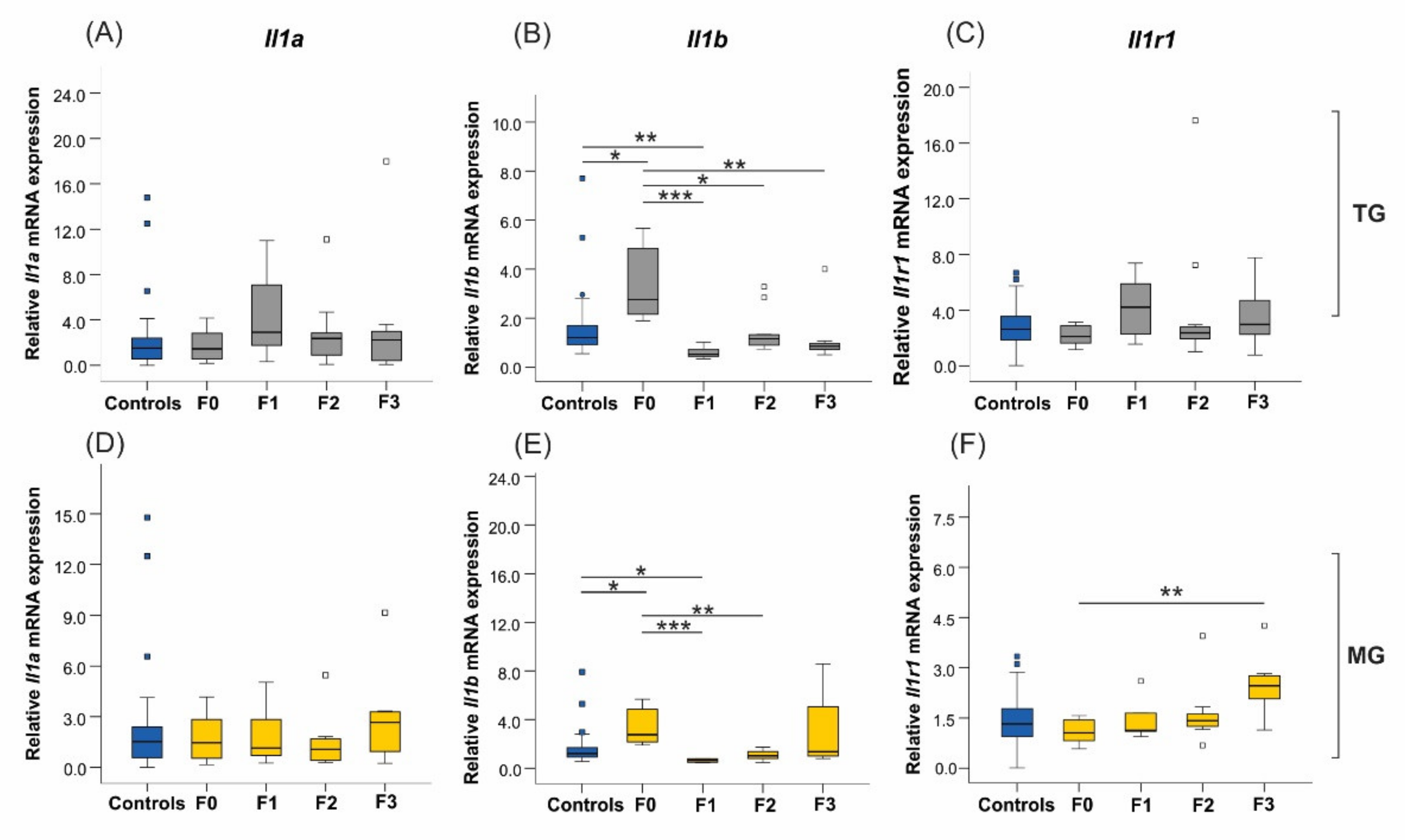 Ijms 23 06169 g007 550