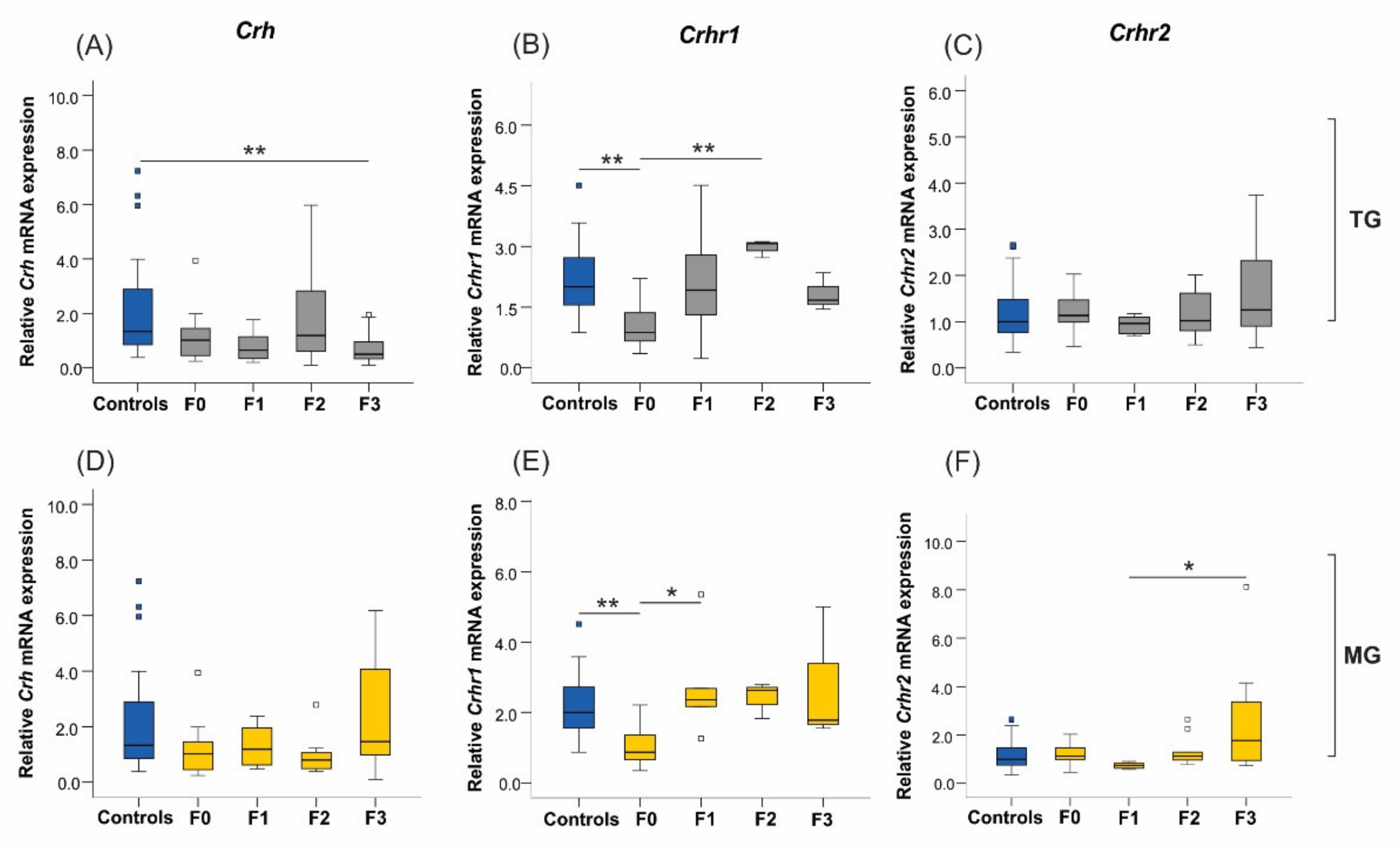 Ijms 23 06169 g008 550