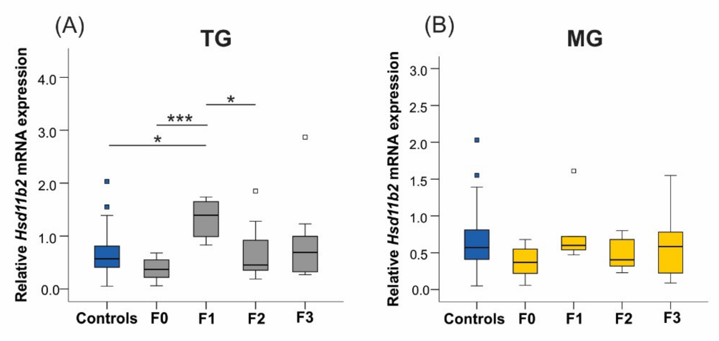 Ijms 23 06169 g009 550