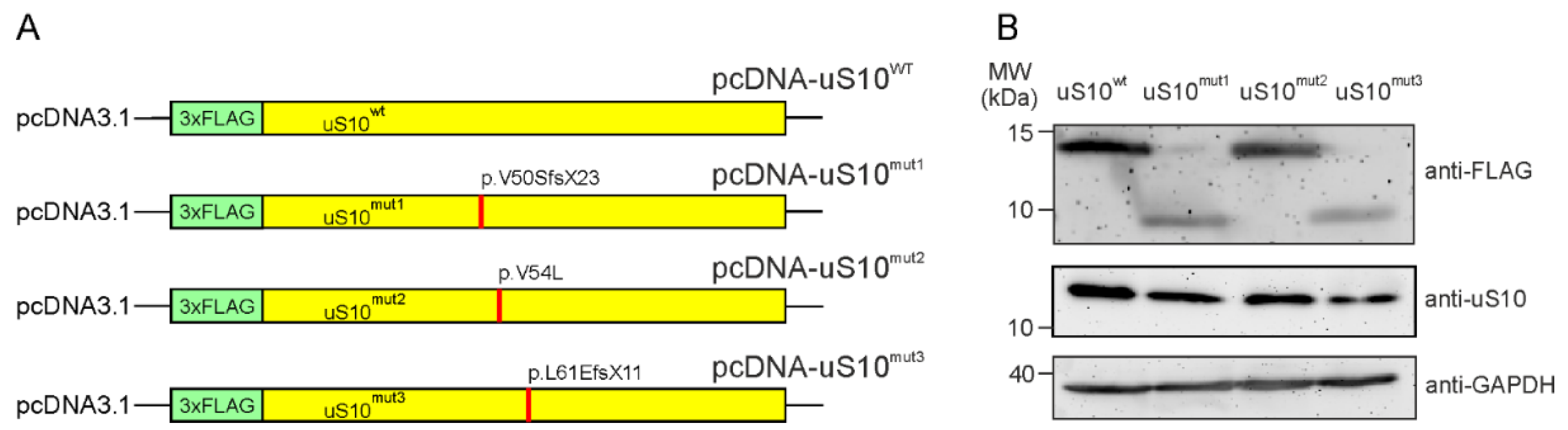 Ijms 23 06174 g001 550