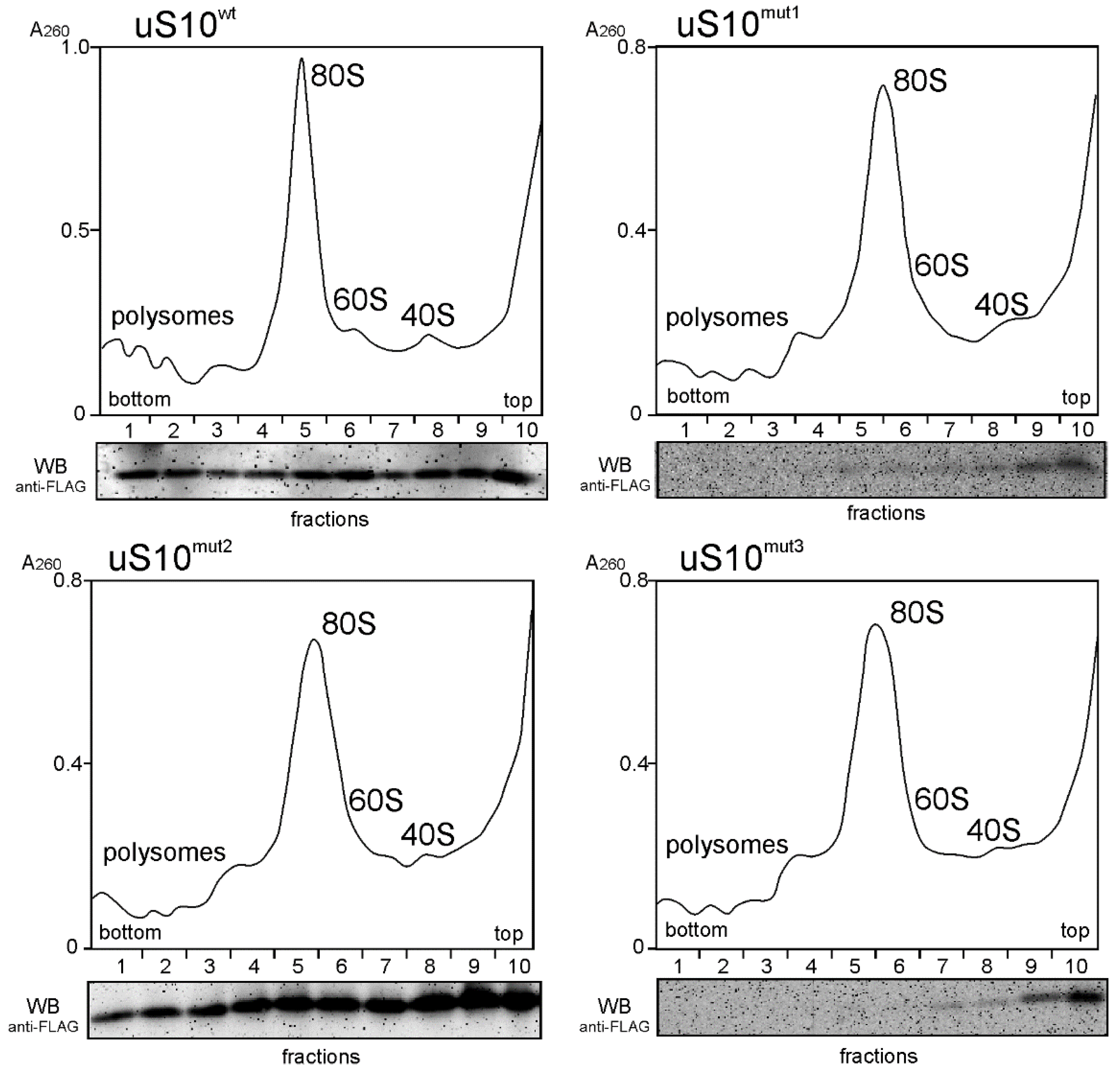 Ijms 23 06174 g002 550