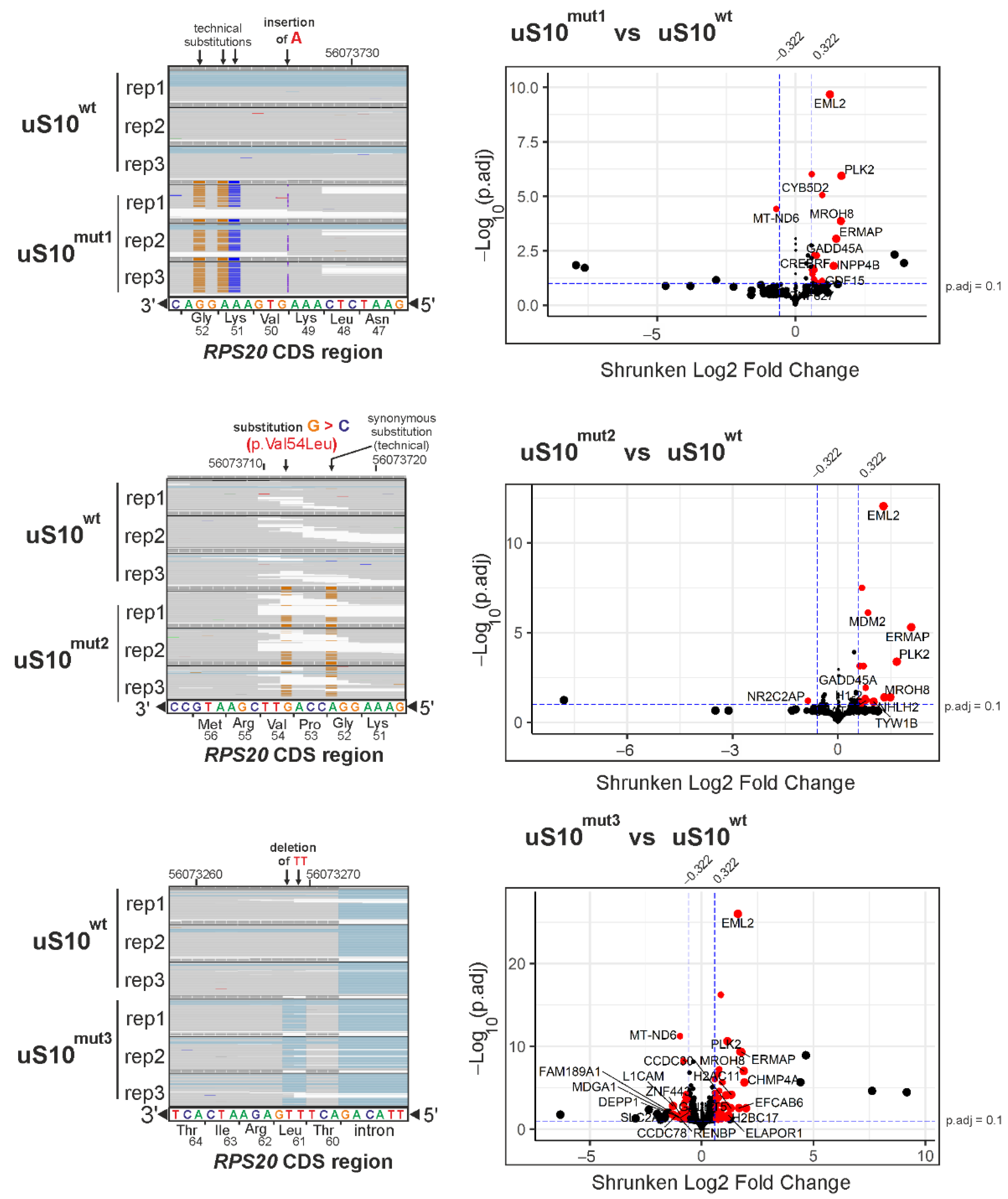 Ijms 23 06174 g003 550