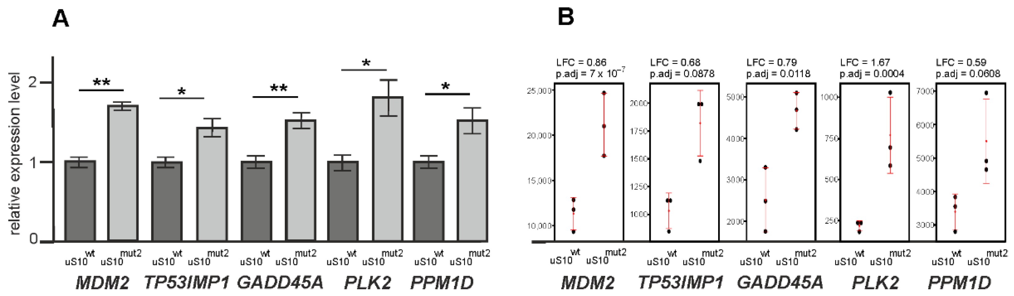 Ijms 23 06174 g005 550