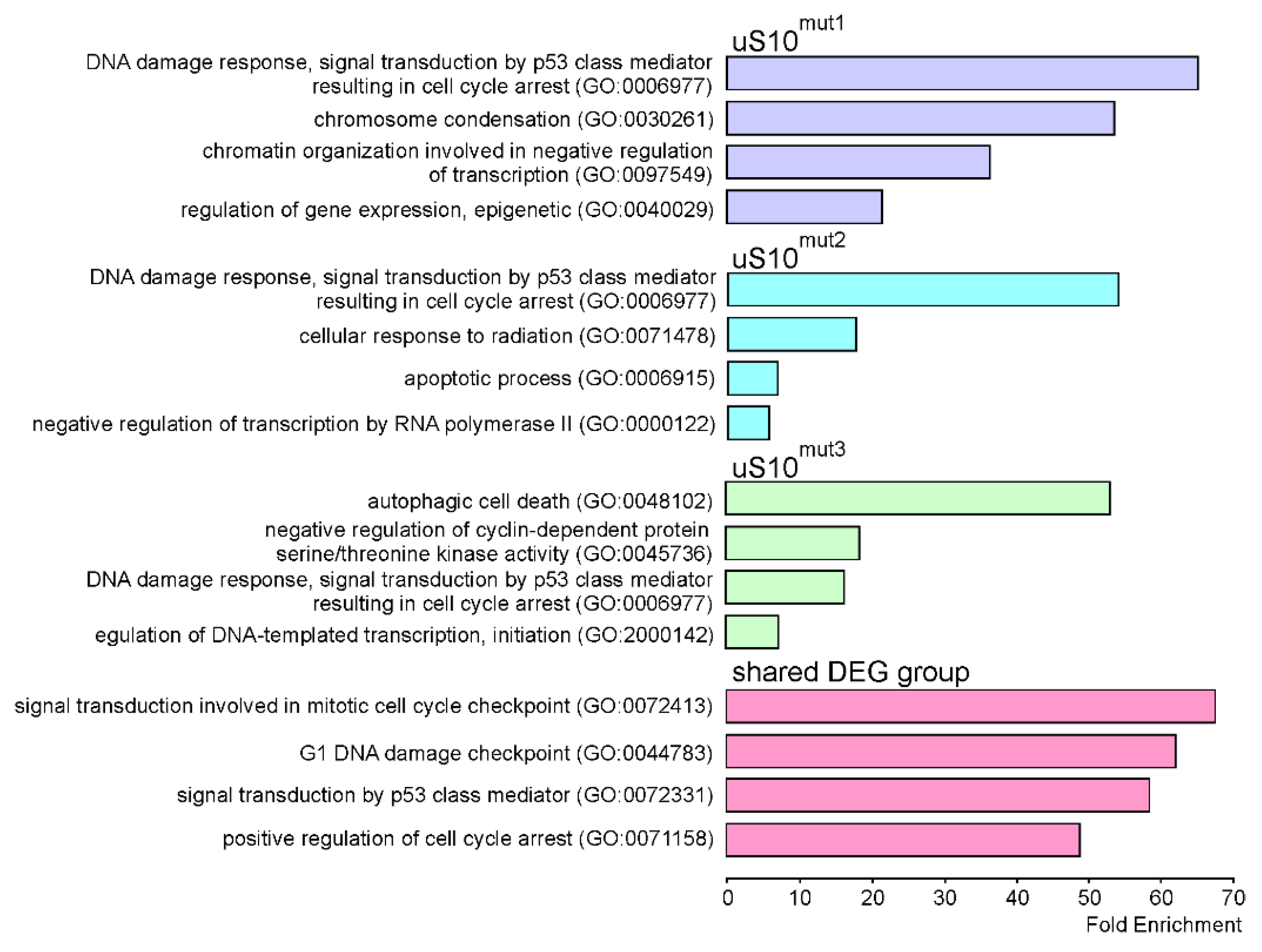 Ijms 23 06174 g006 550