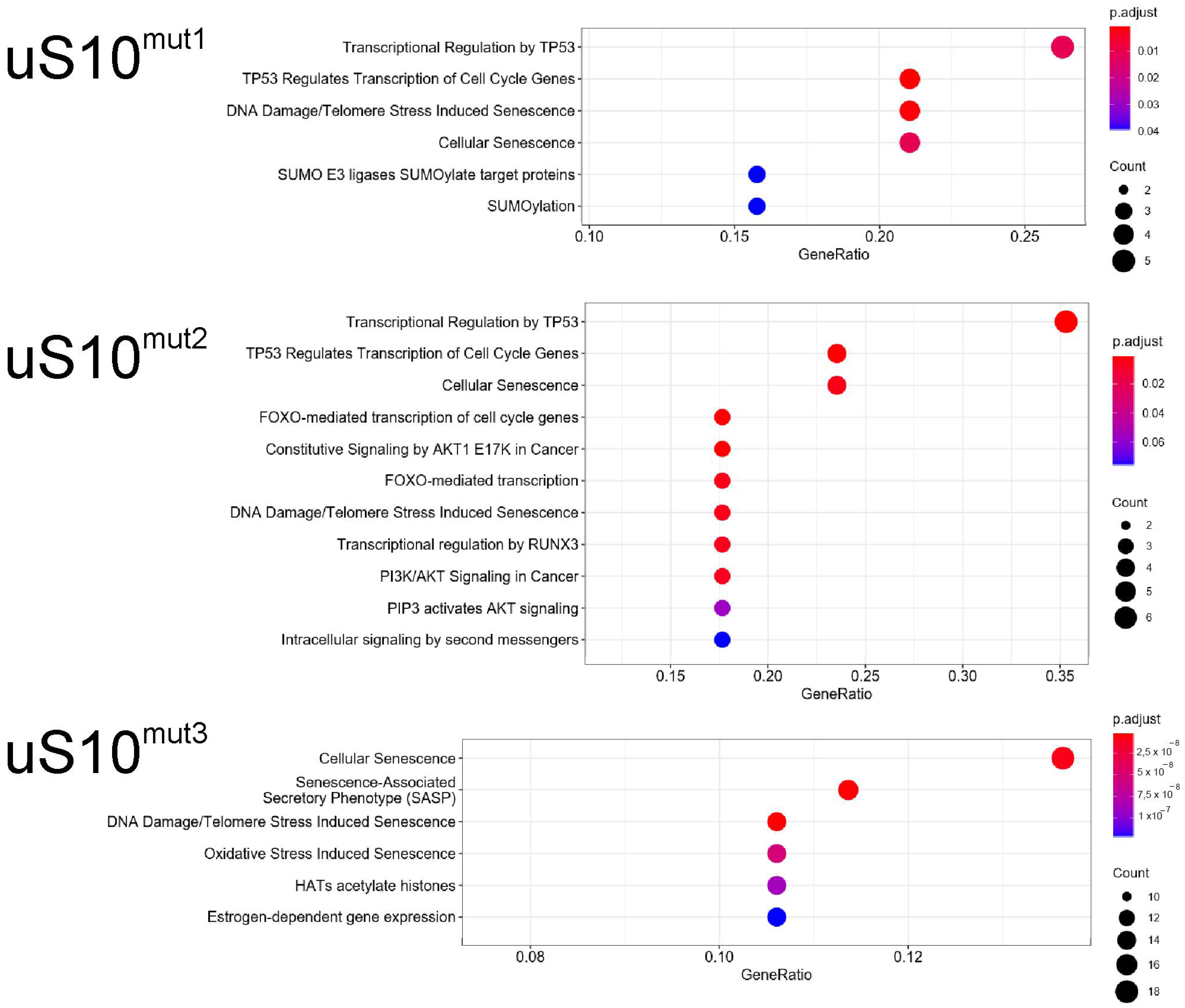 Ijms 23 06174 g007 550