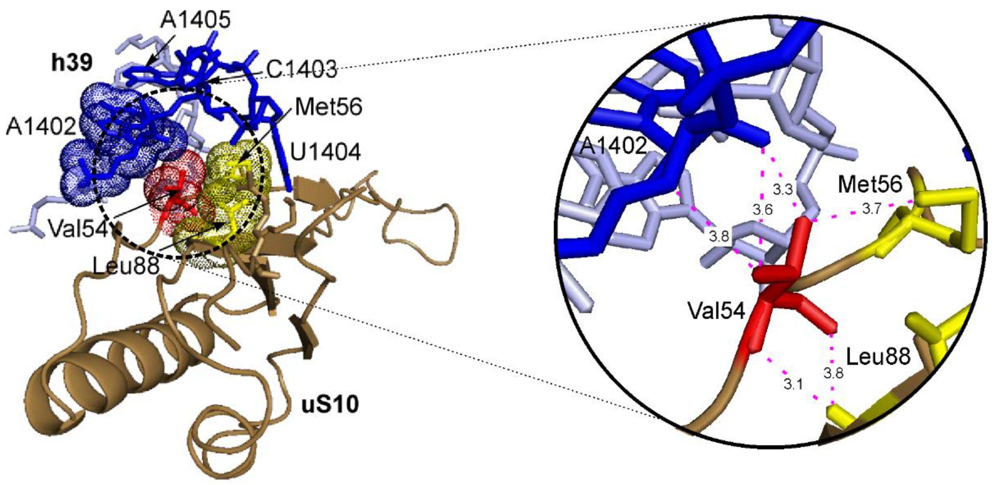 Ijms 23 06174 g008 550