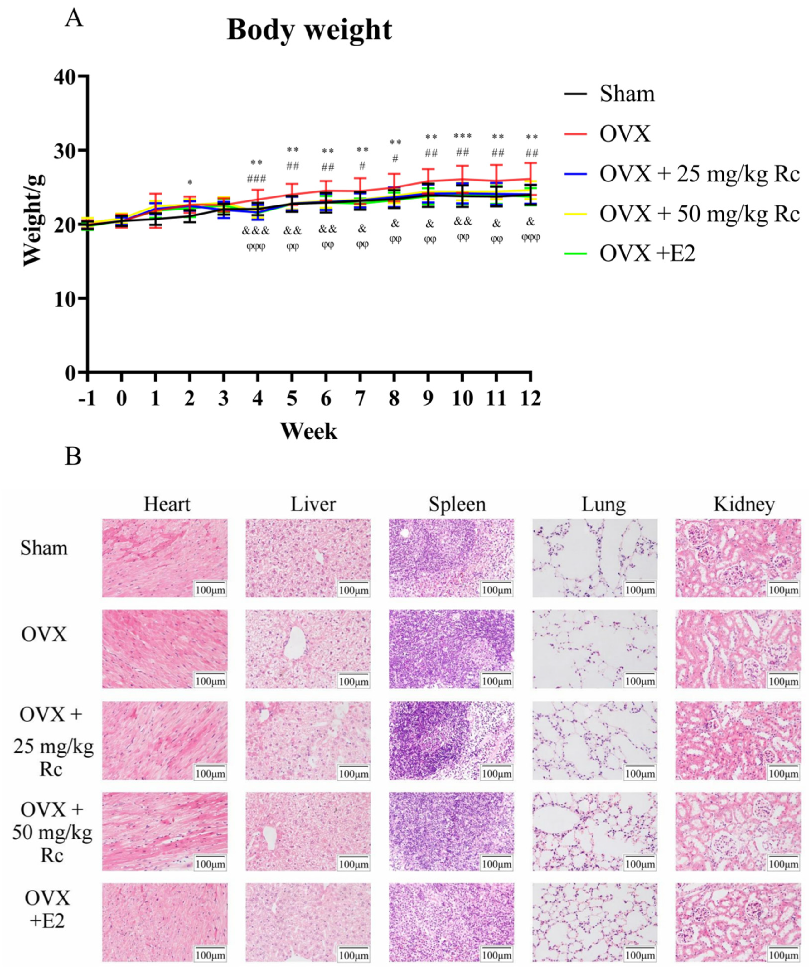 Ijms 23 06187 g002 550