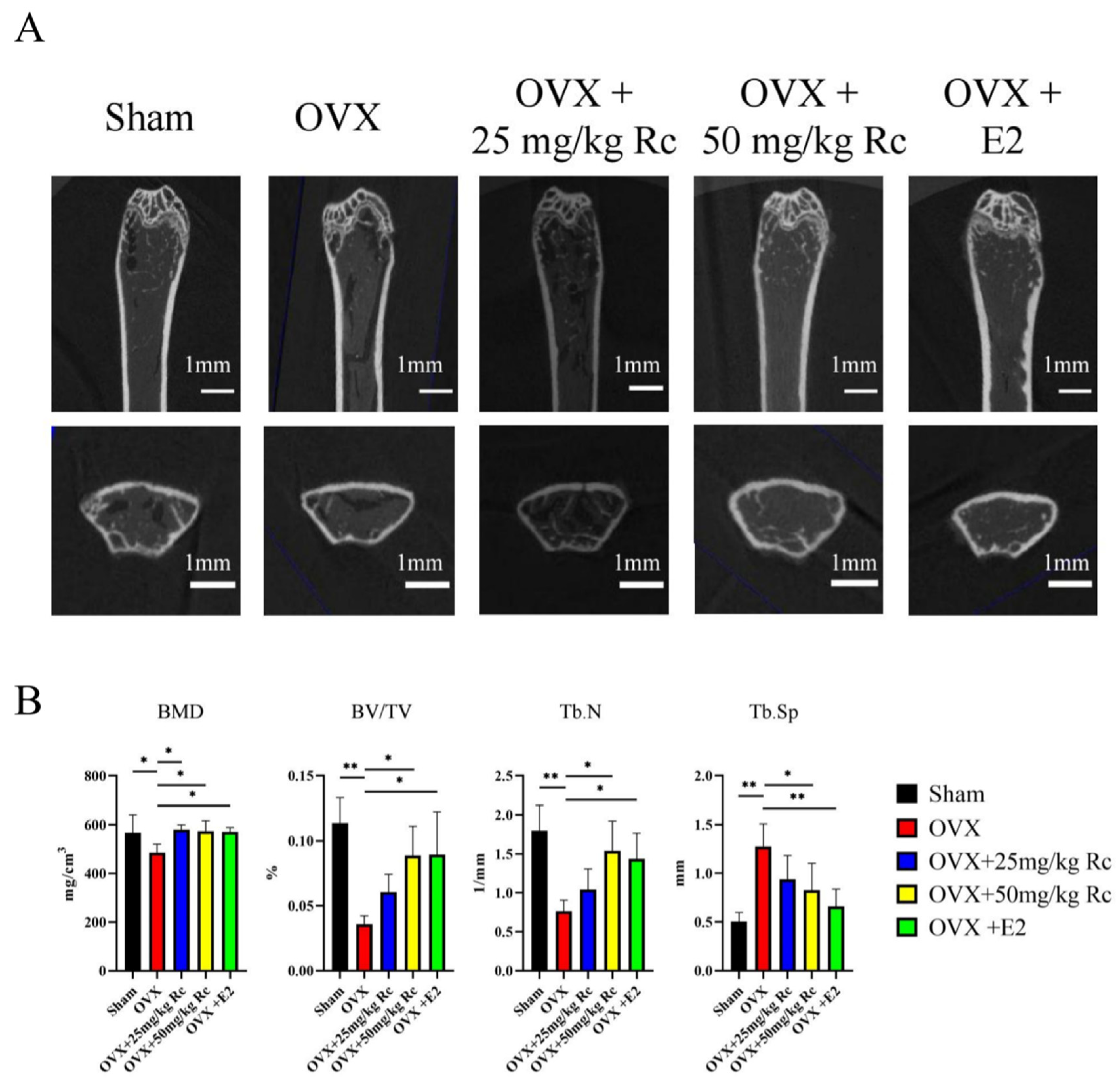 Ijms 23 06187 g003 550