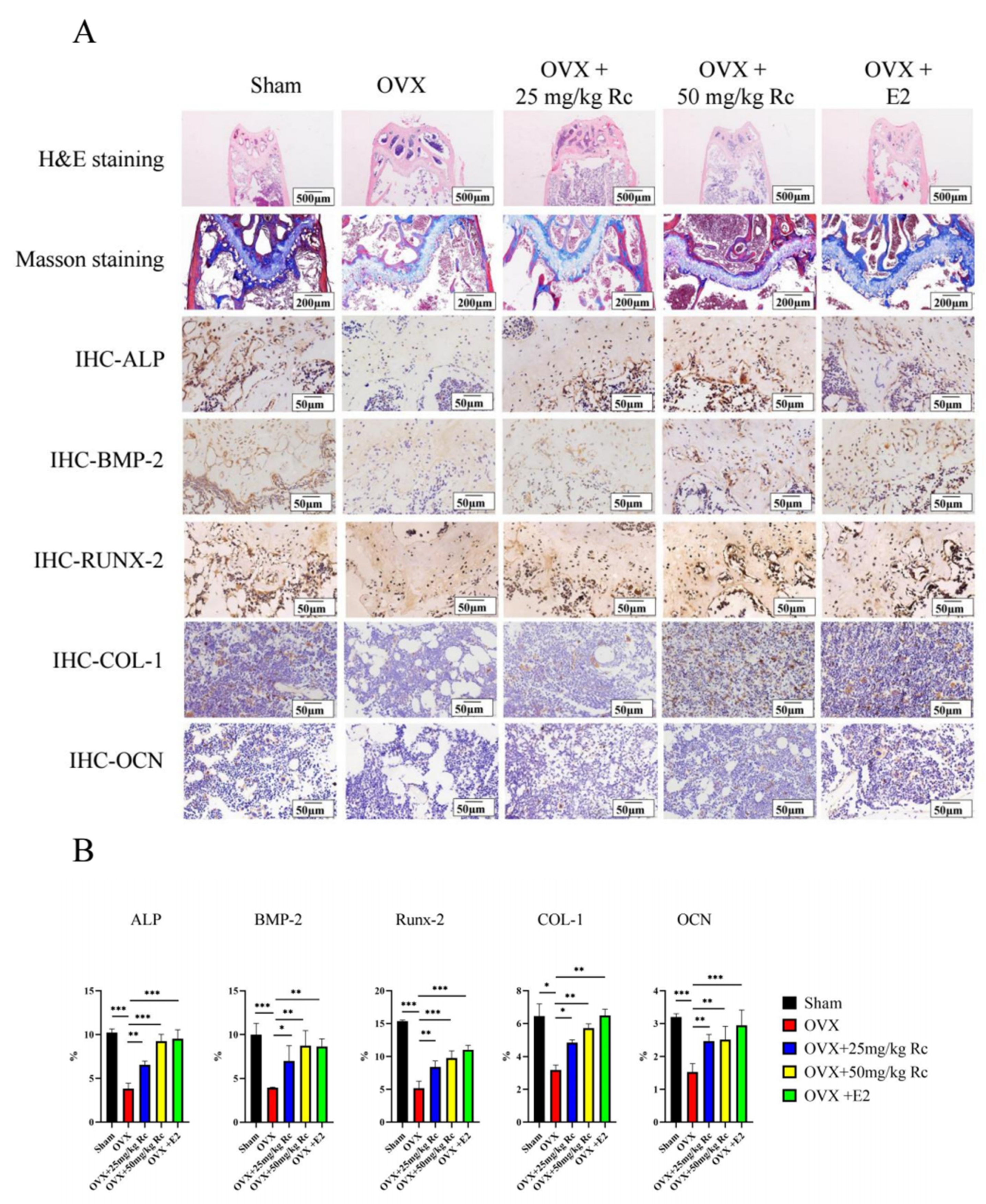 Ijms 23 06187 g004 550