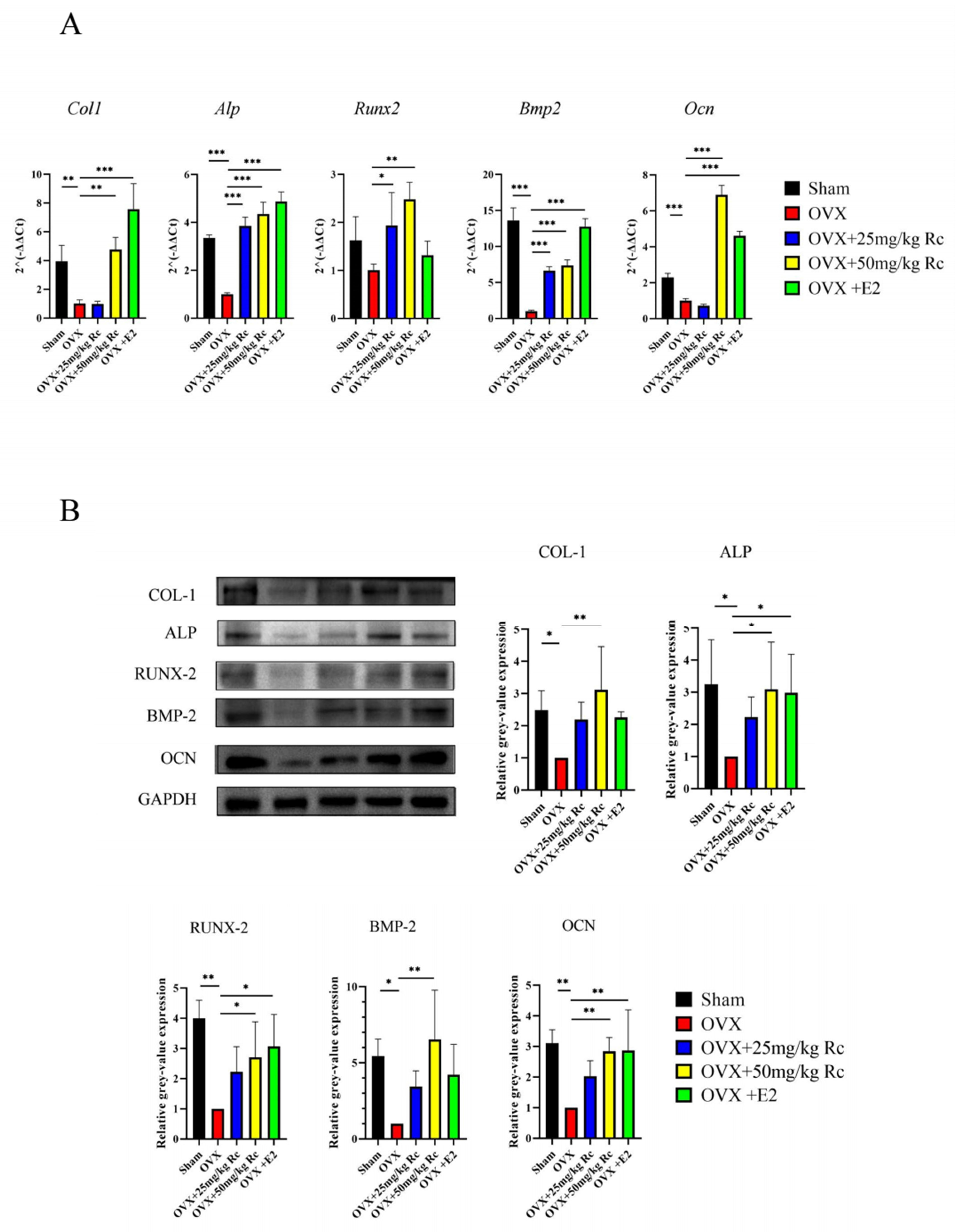Ijms 23 06187 g005 550
