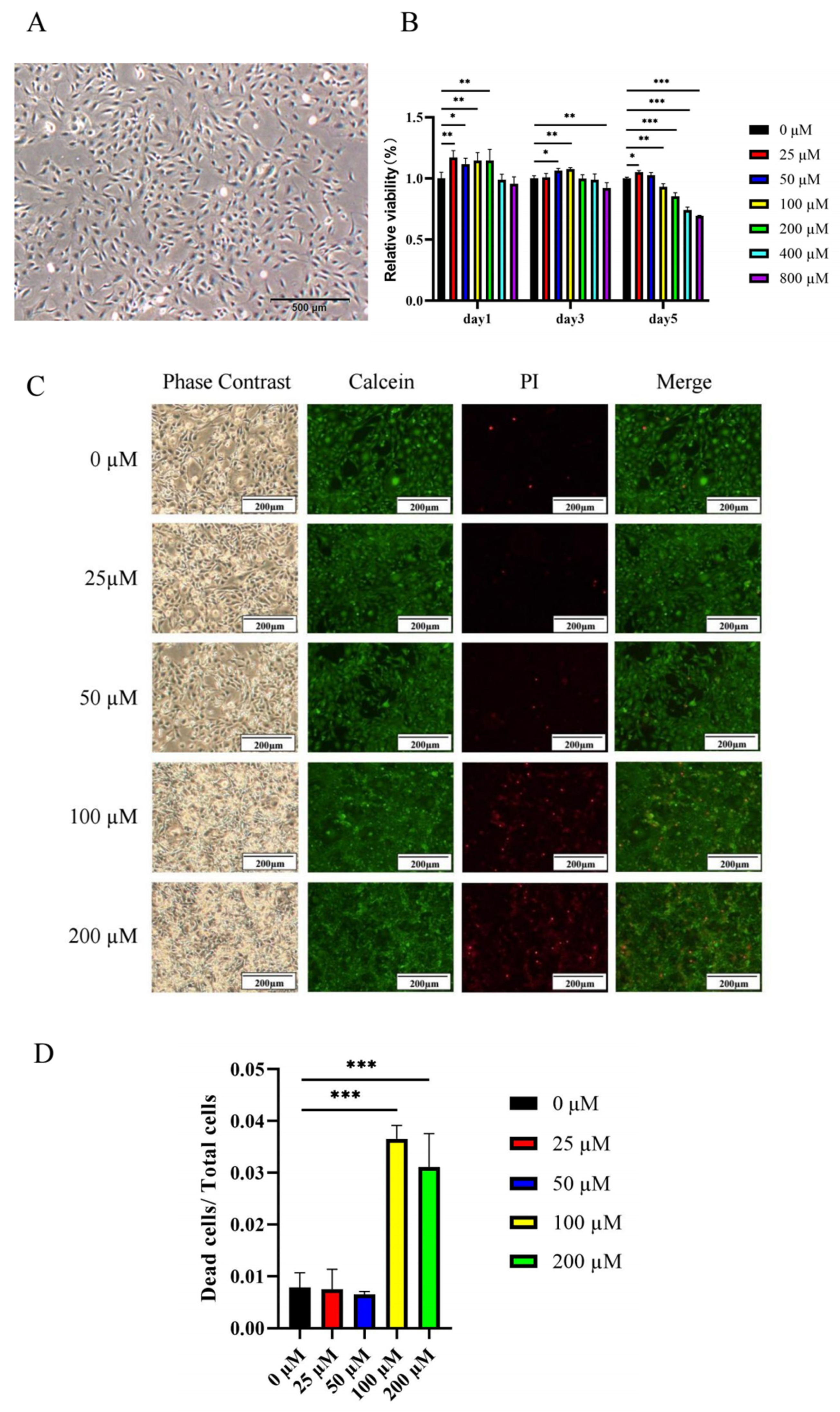Ijms 23 06187 g006 550