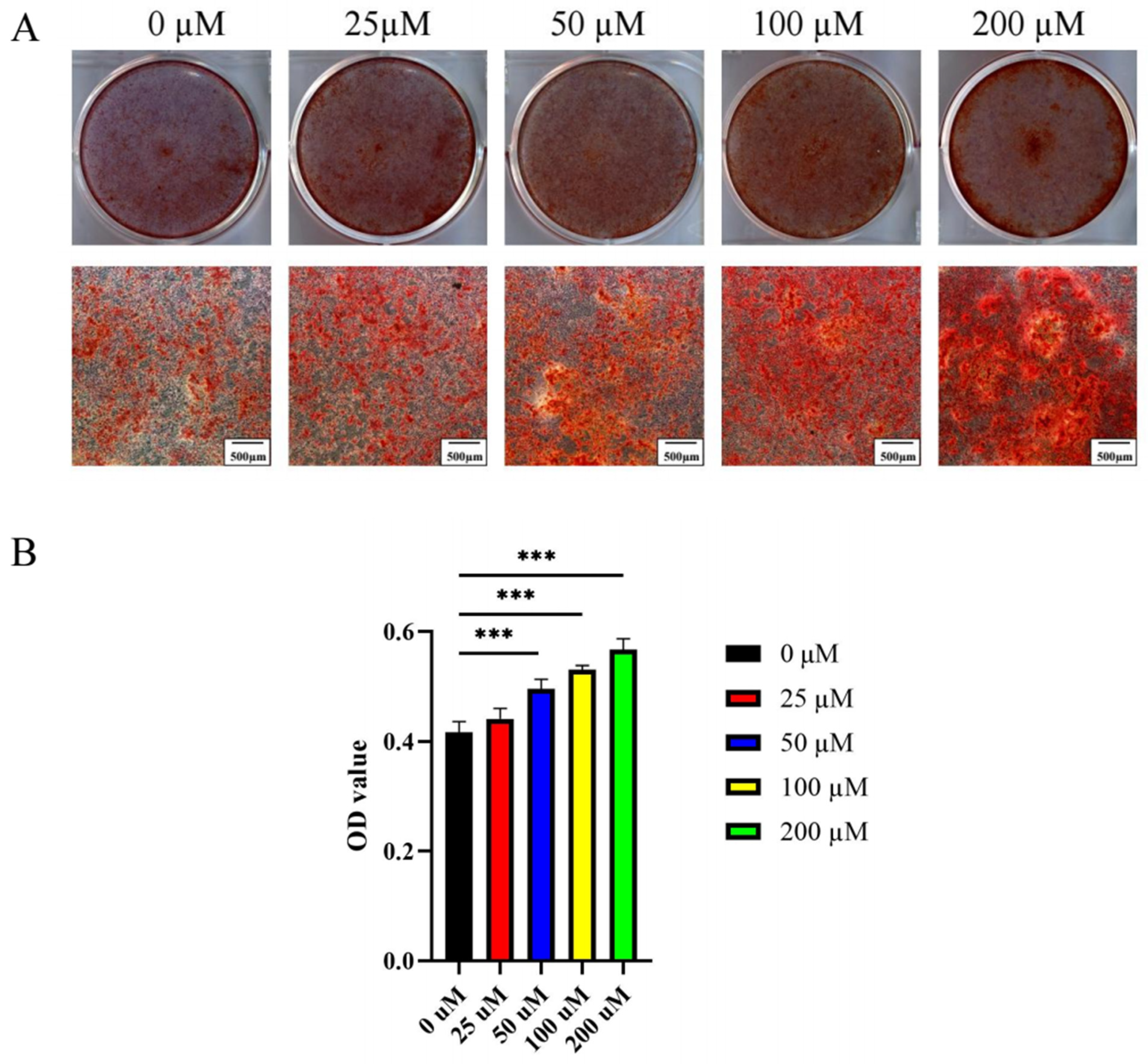 Ijms 23 06187 g008 550