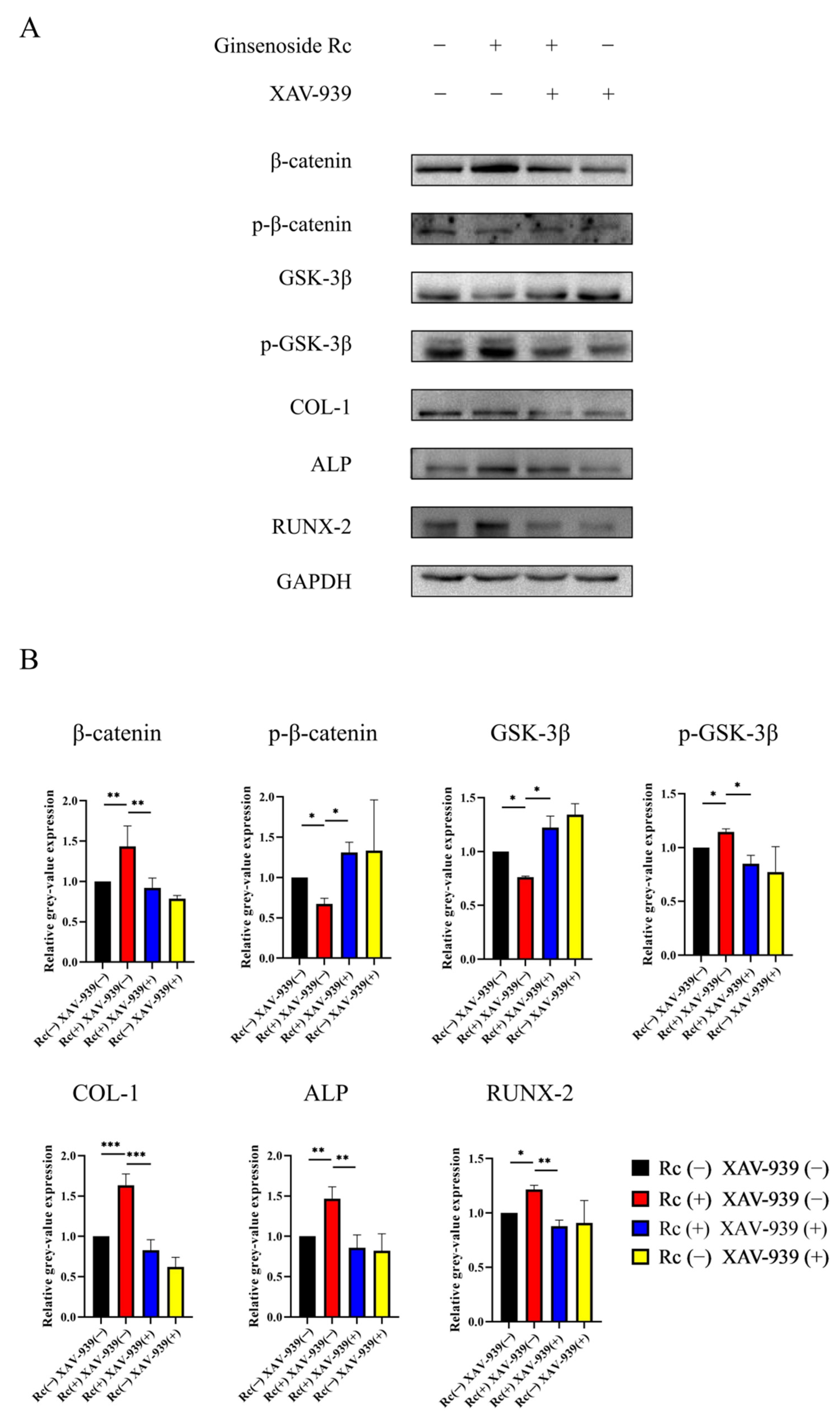 Ijms 23 06187 g010 550