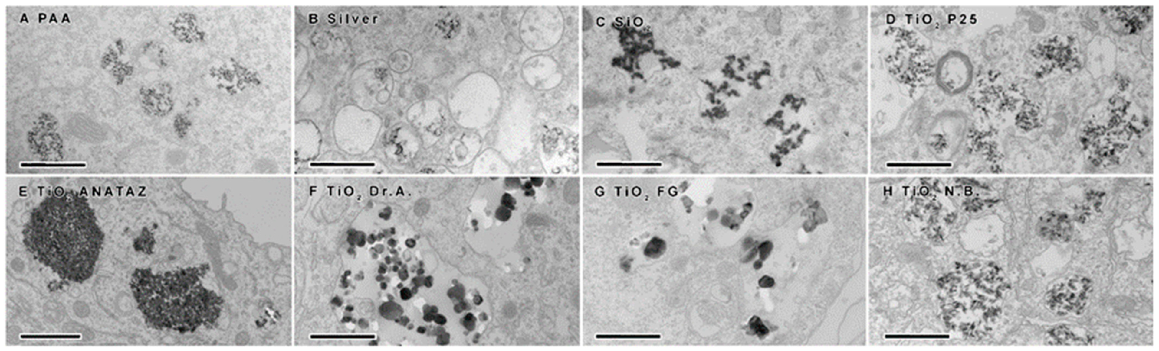 Ijms 23 06197 g005 550