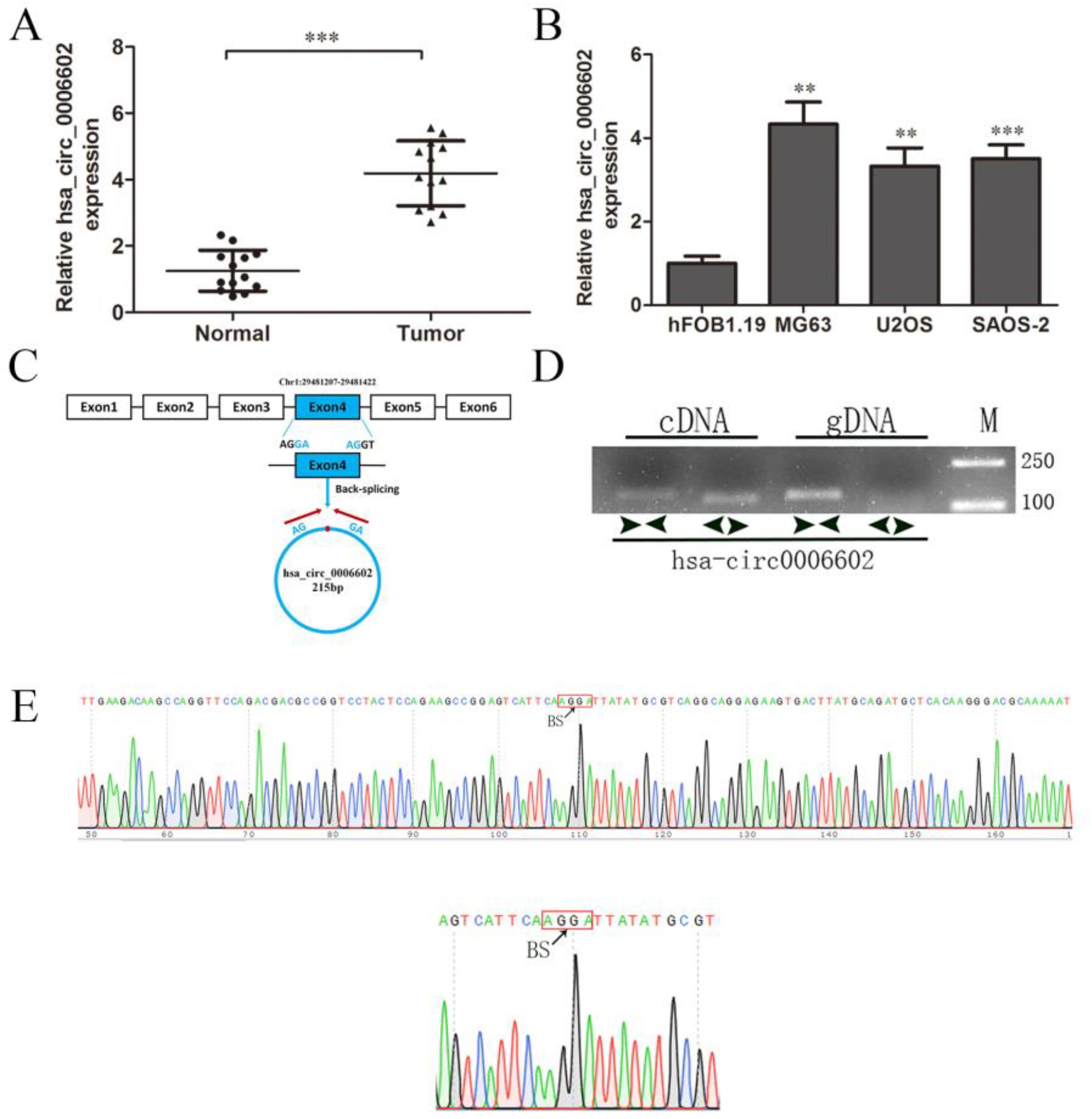 Ijms 23 06200 g001 550