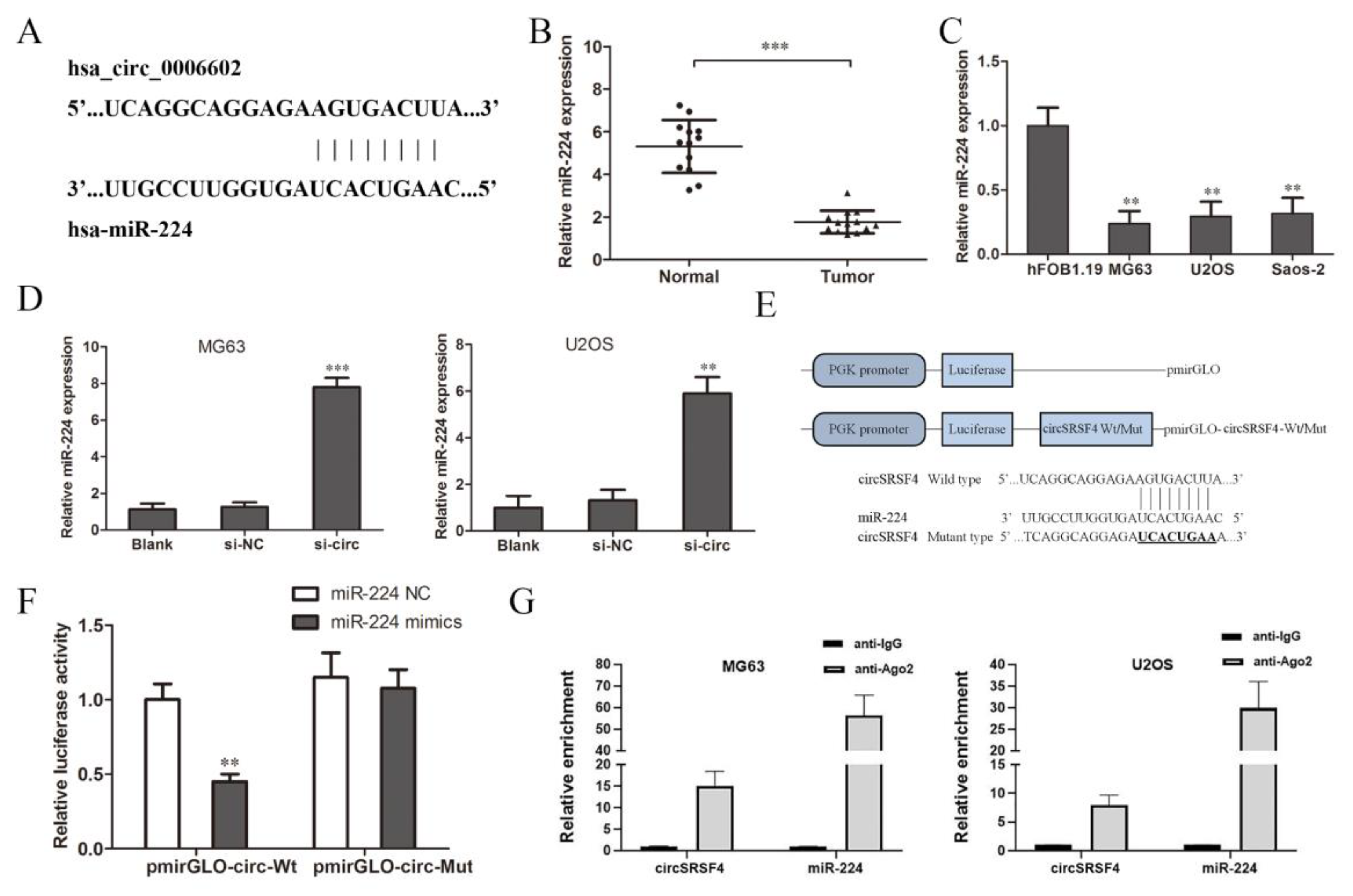 Ijms 23 06200 g003 550