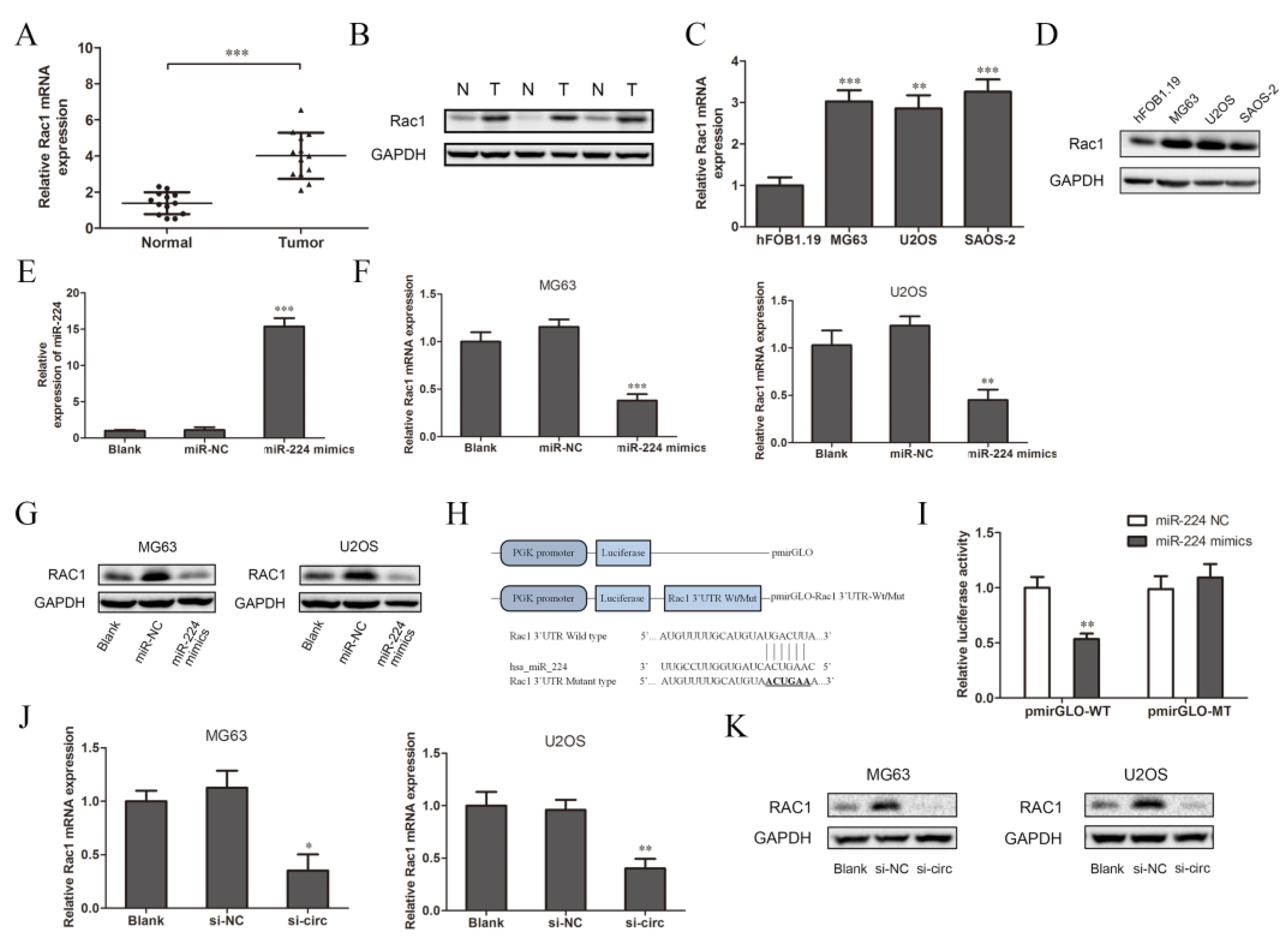 Ijms 23 06200 g004 550