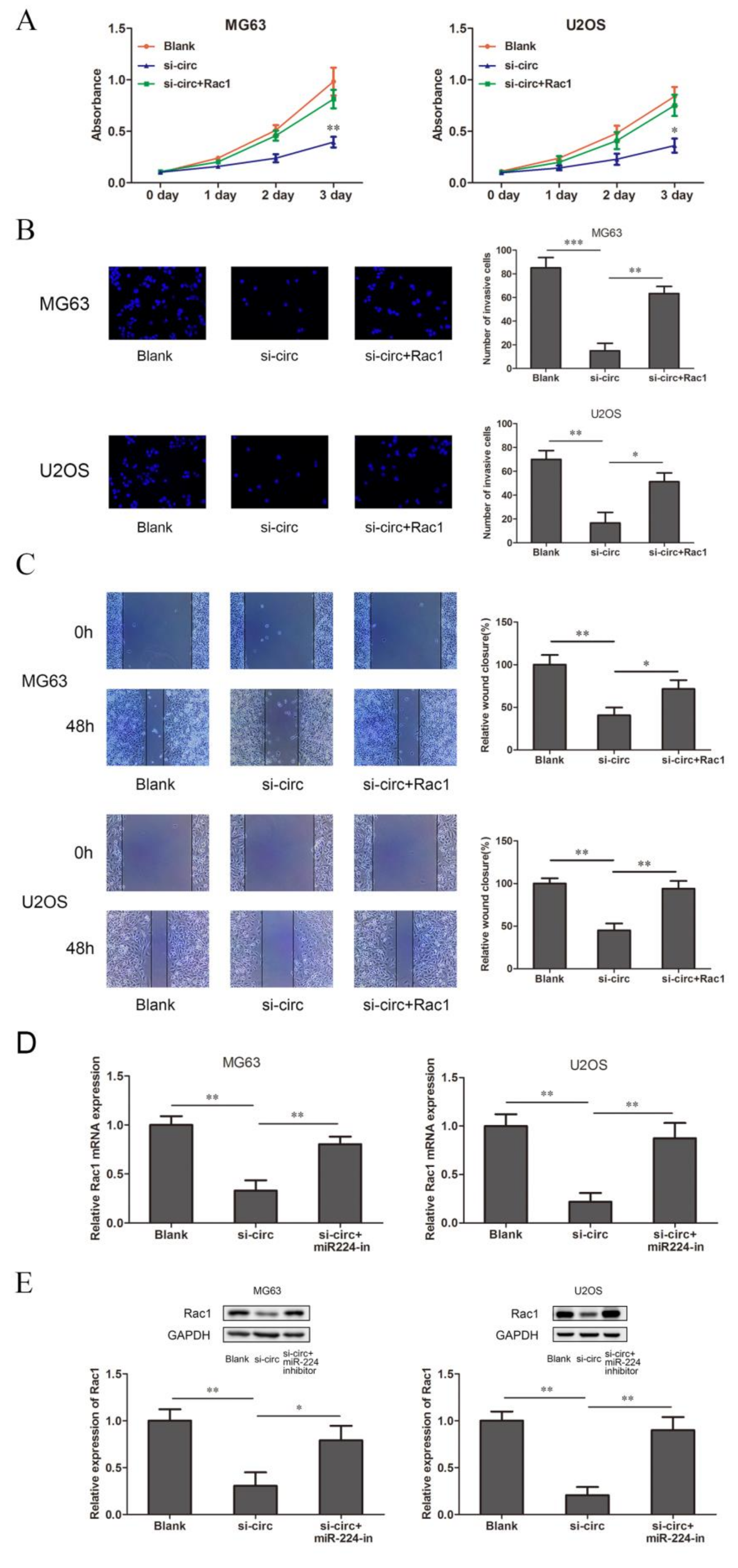 Ijms 23 06200 g005 550