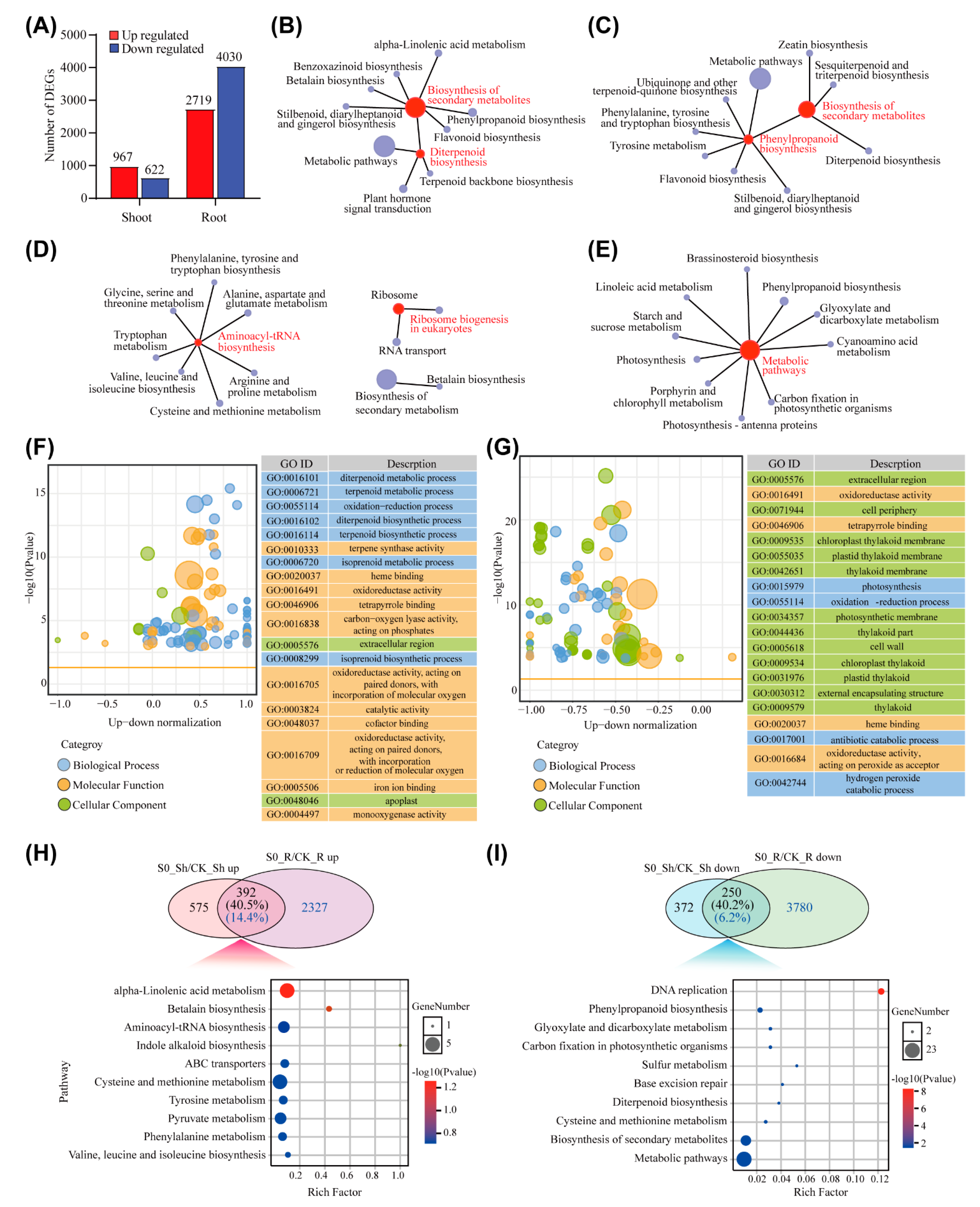 Ijms 23 06203 g002 Ijms 23 06203 g002