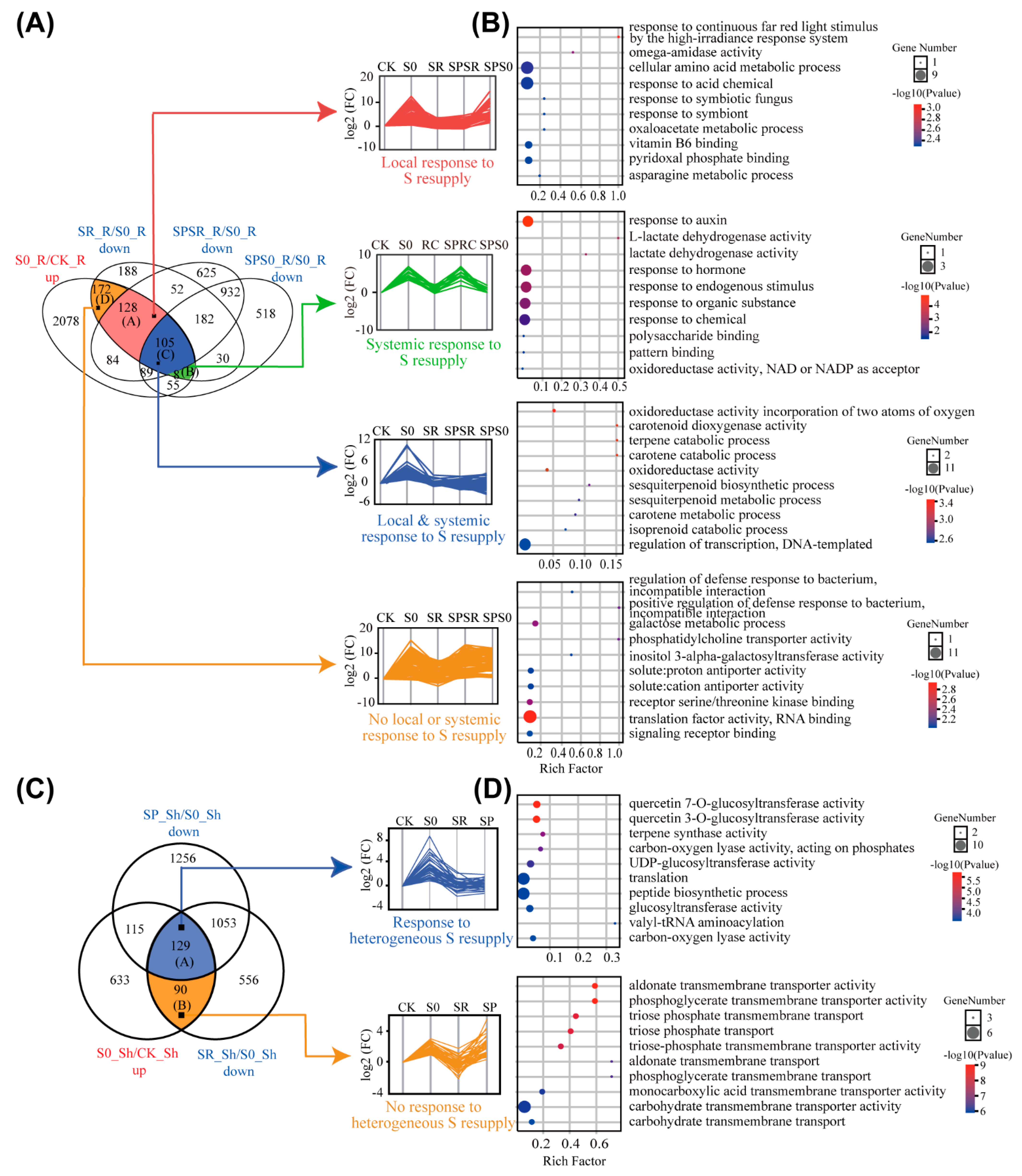 Ijms 23 06203 g004 Ijms 23 06203 g004