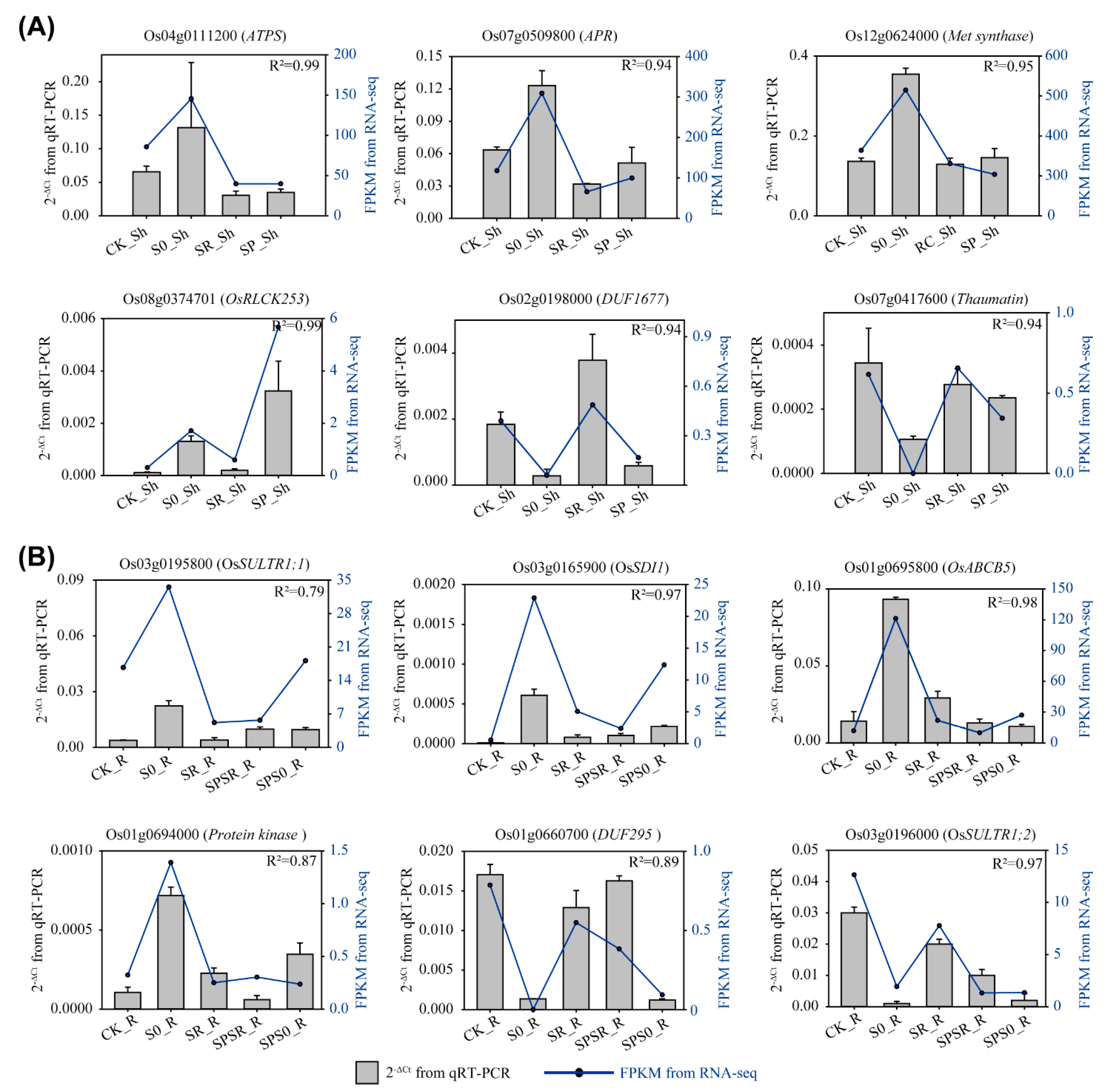 Ijms 23 06203 g006 Ijms 23 06203 g006