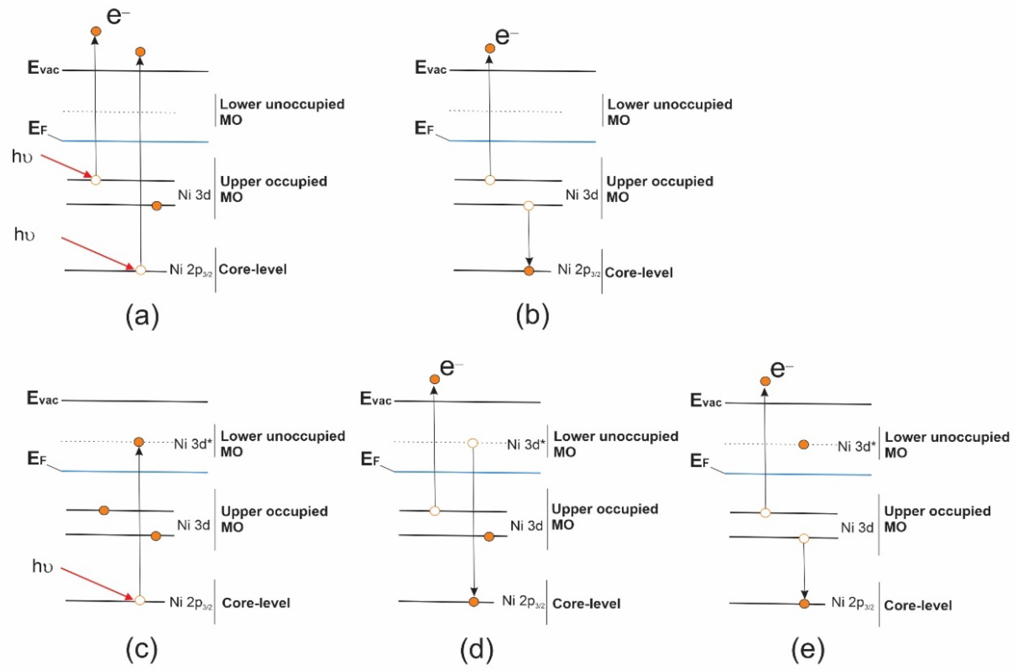 Ijms 23 06207 g004 550